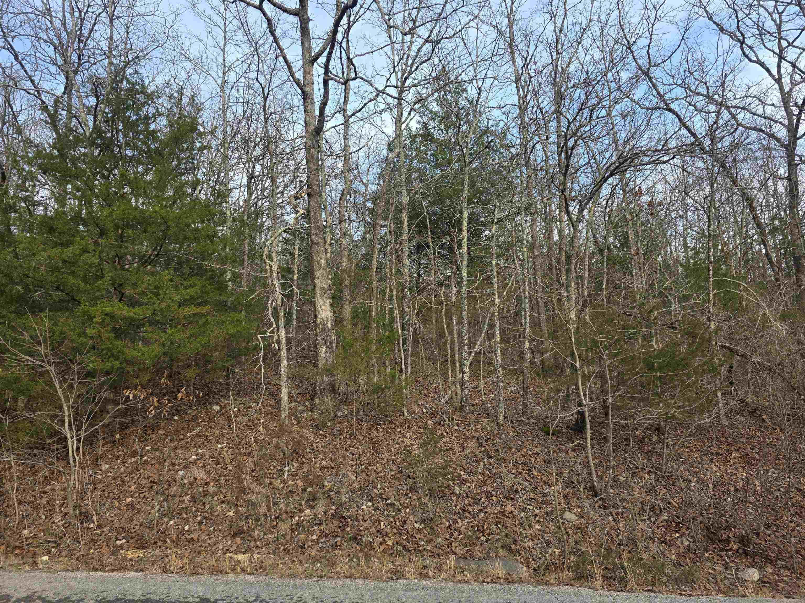 7 Lots Cherokee Village Property Photo 12