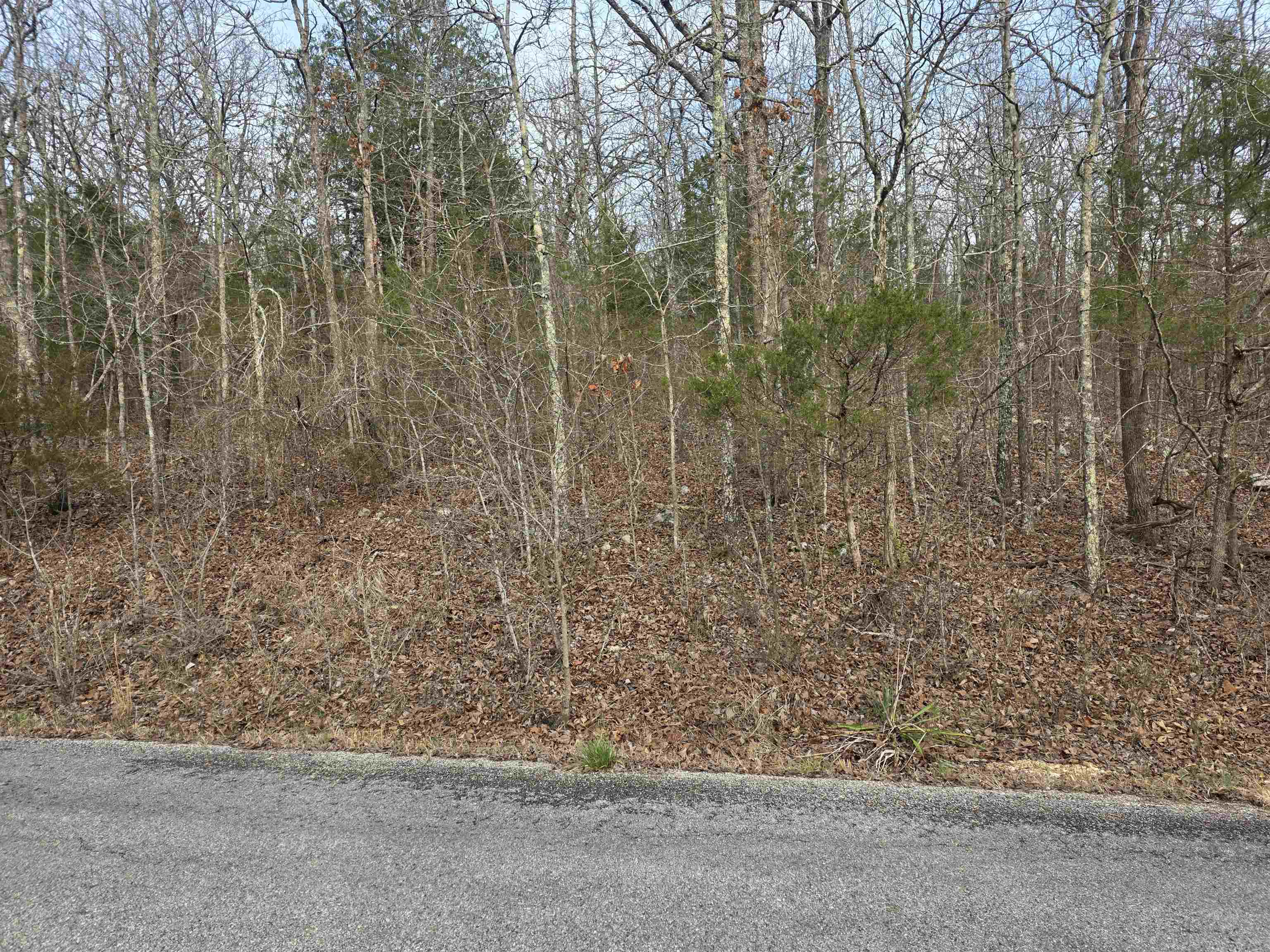 7 Lots Cherokee Village Property Photo 13