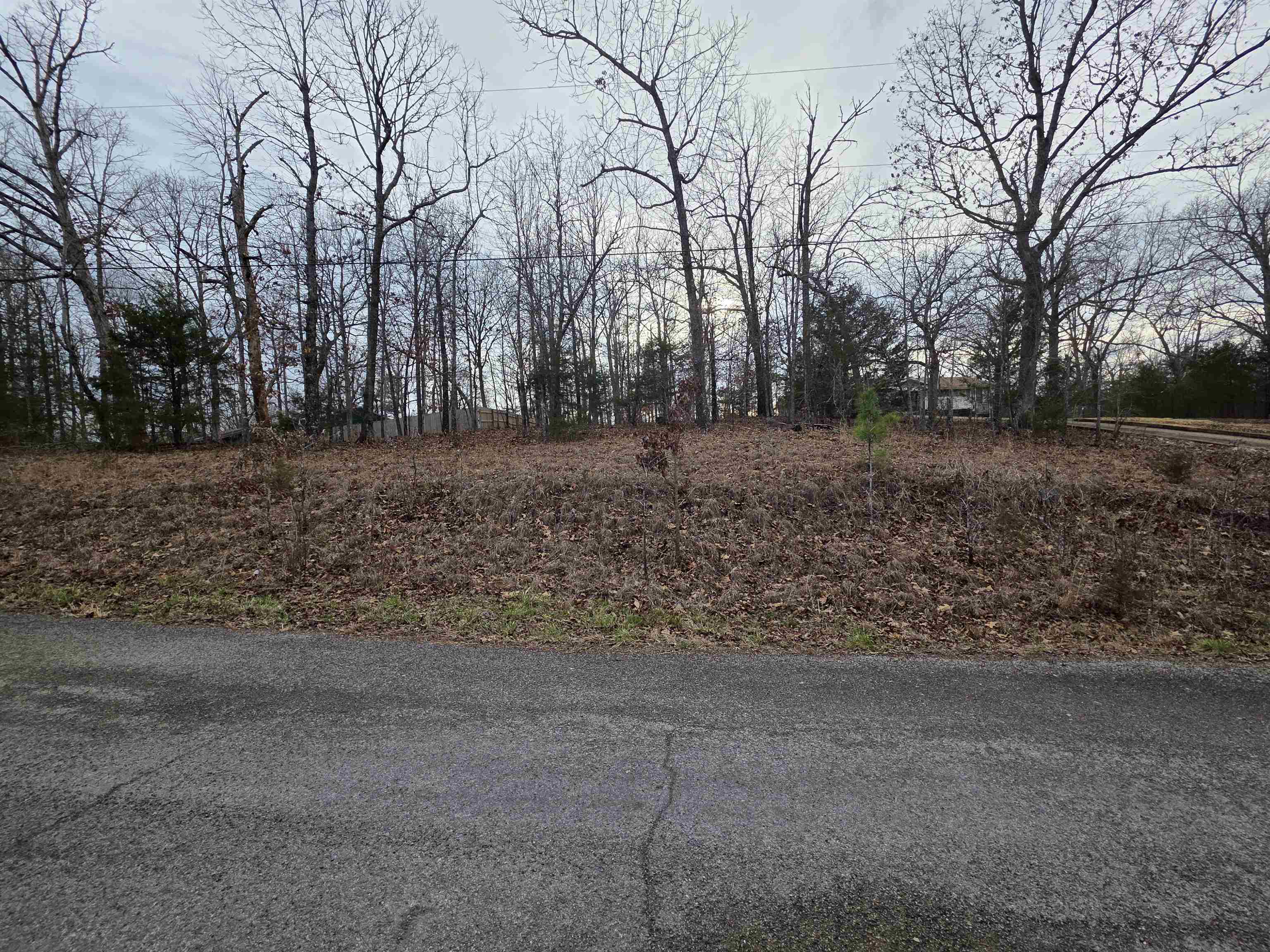7 Lots Cherokee Village Property Photo 16