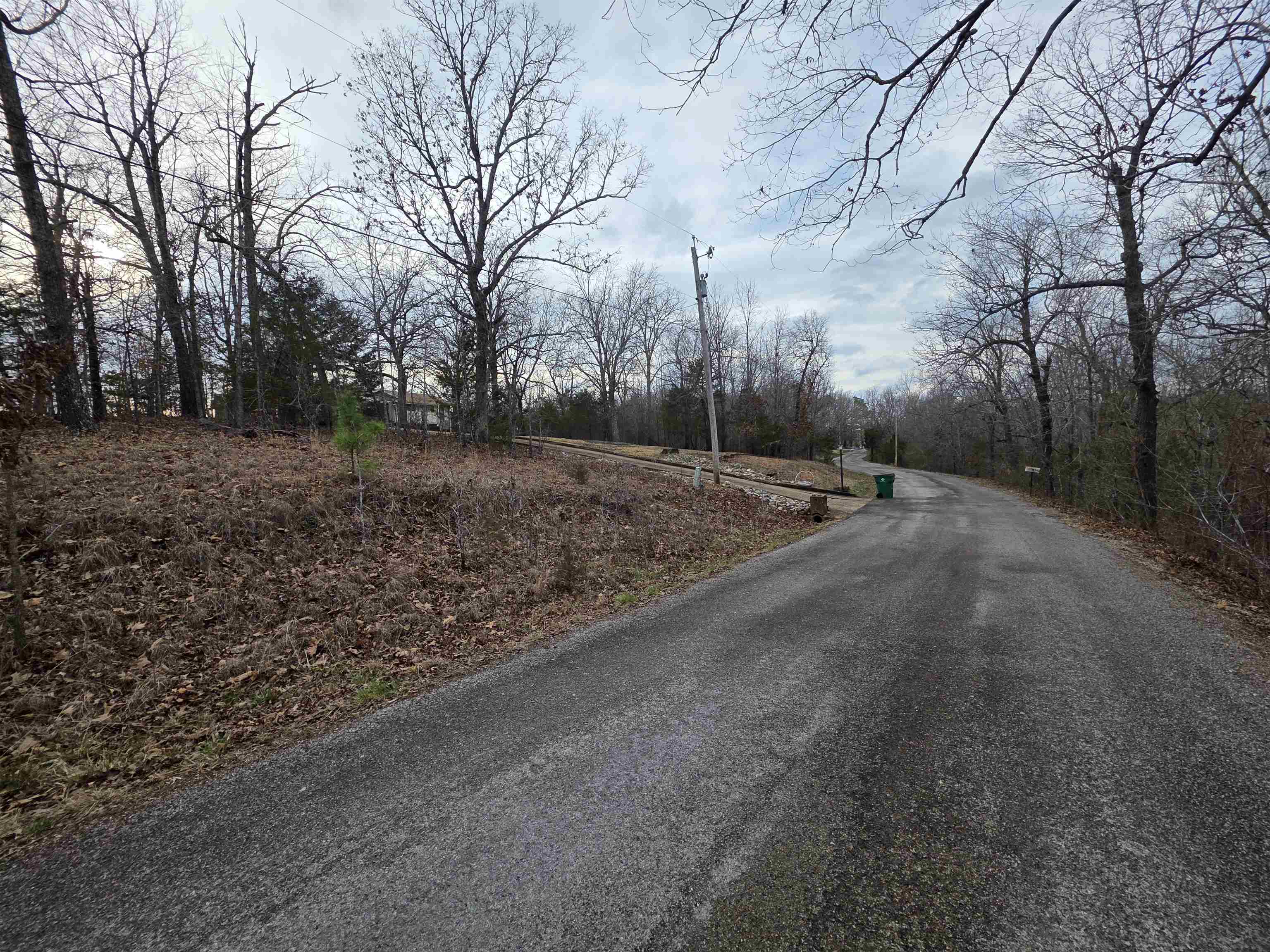 7 Lots Cherokee Village Property Photo 17