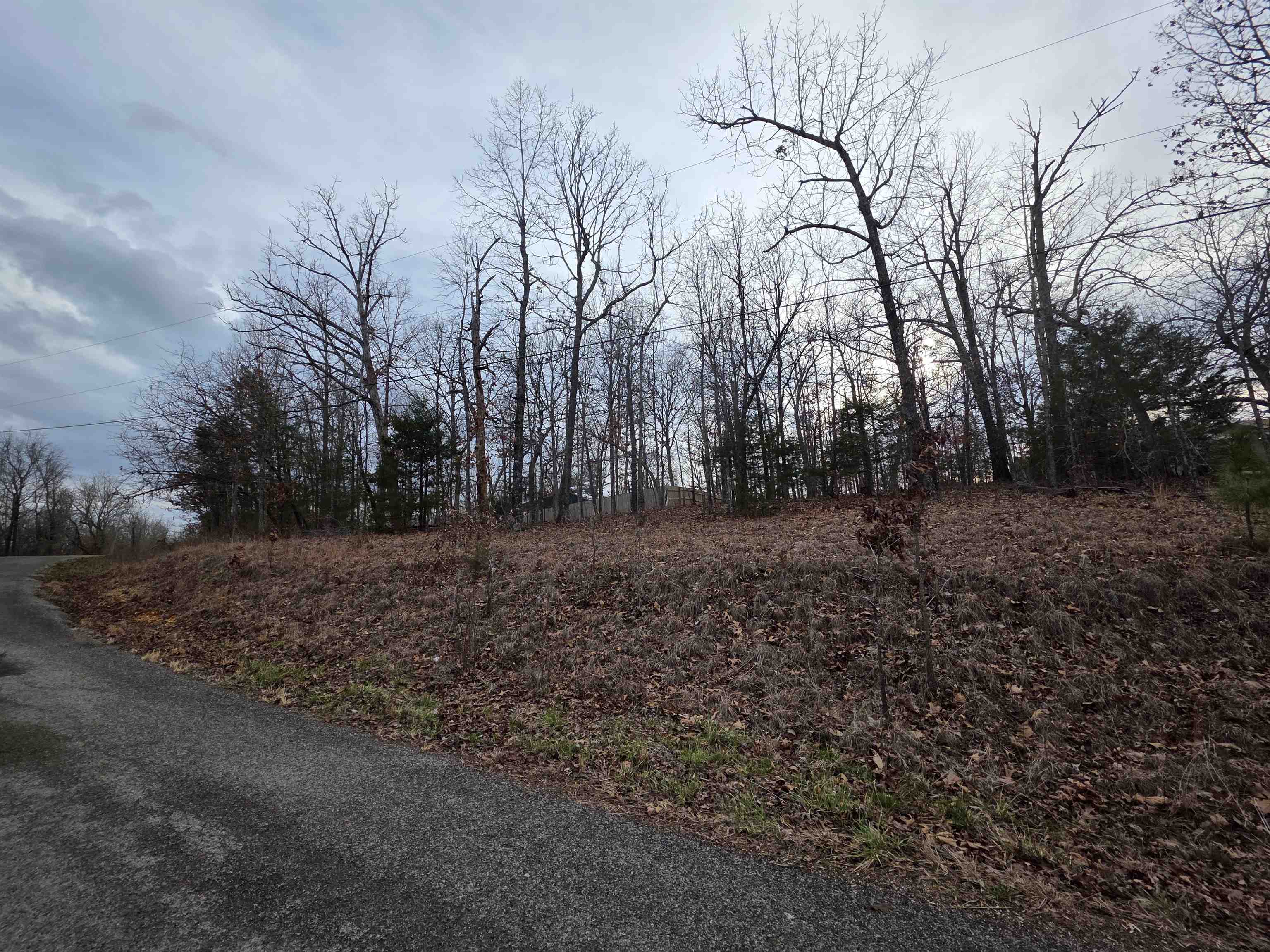 7 Lots Cherokee Village Property Photo 18