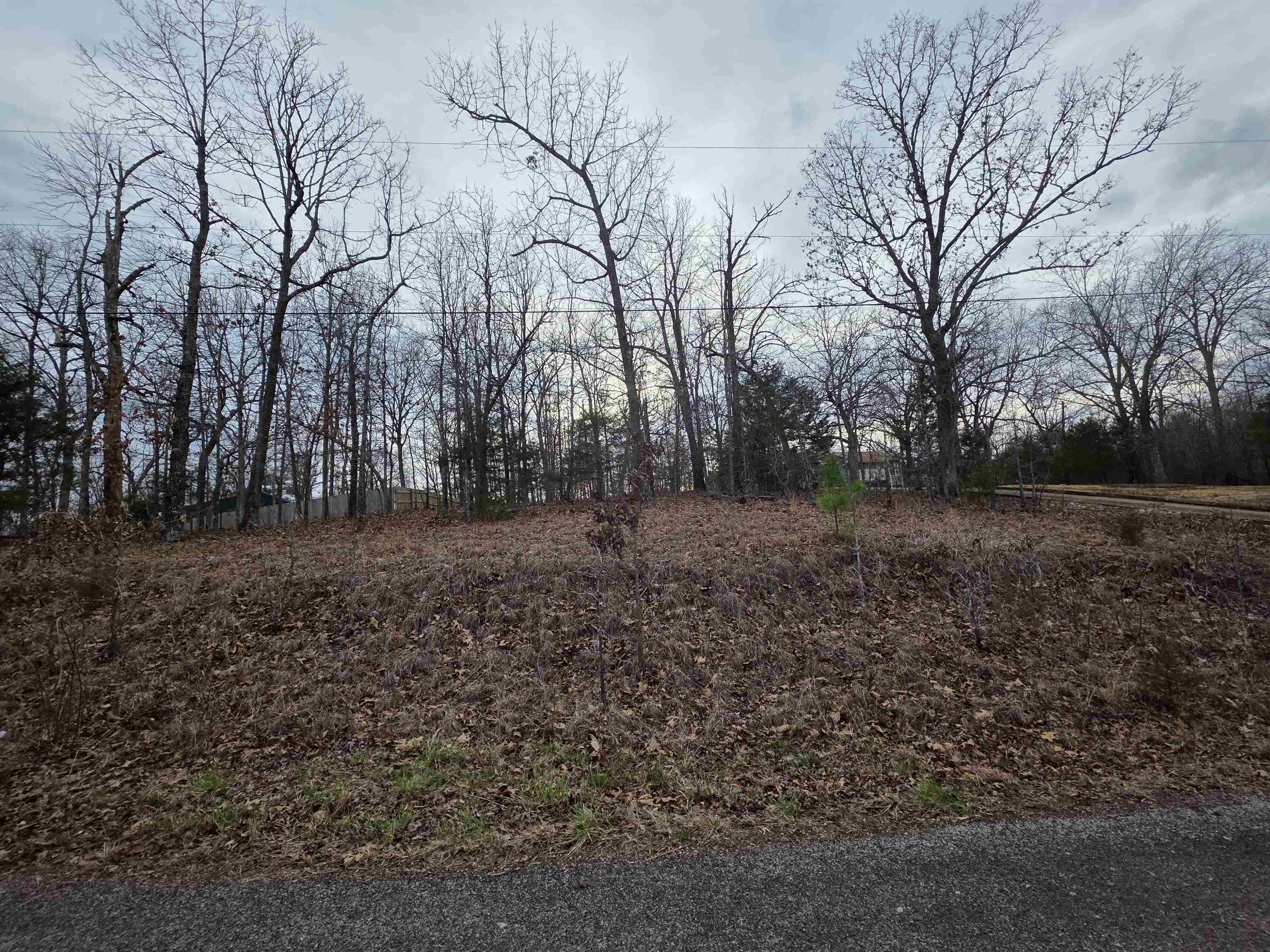 7 Lots Cherokee Village Property Photo 19