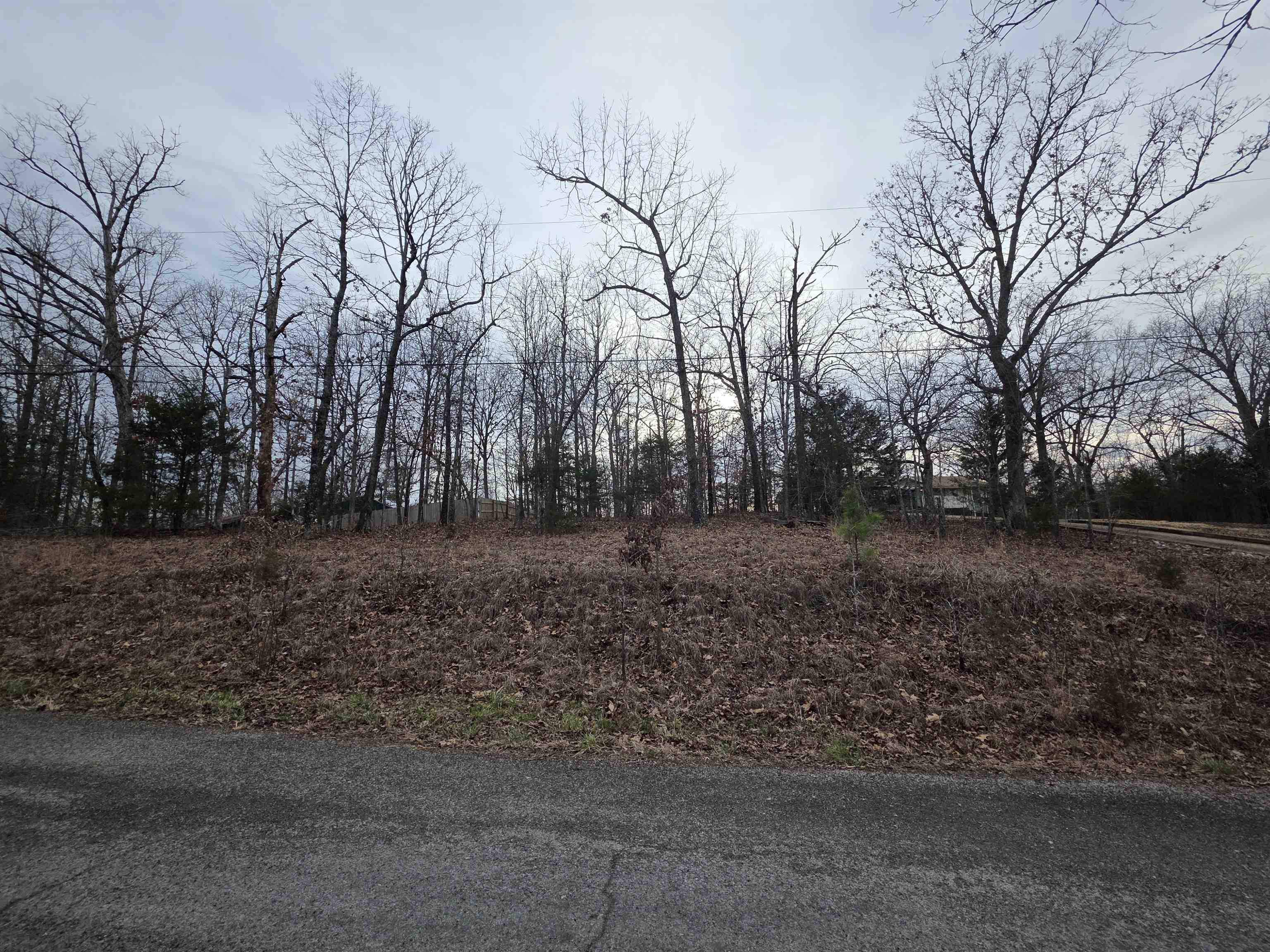 7 Lots Cherokee Village Property Photo 20