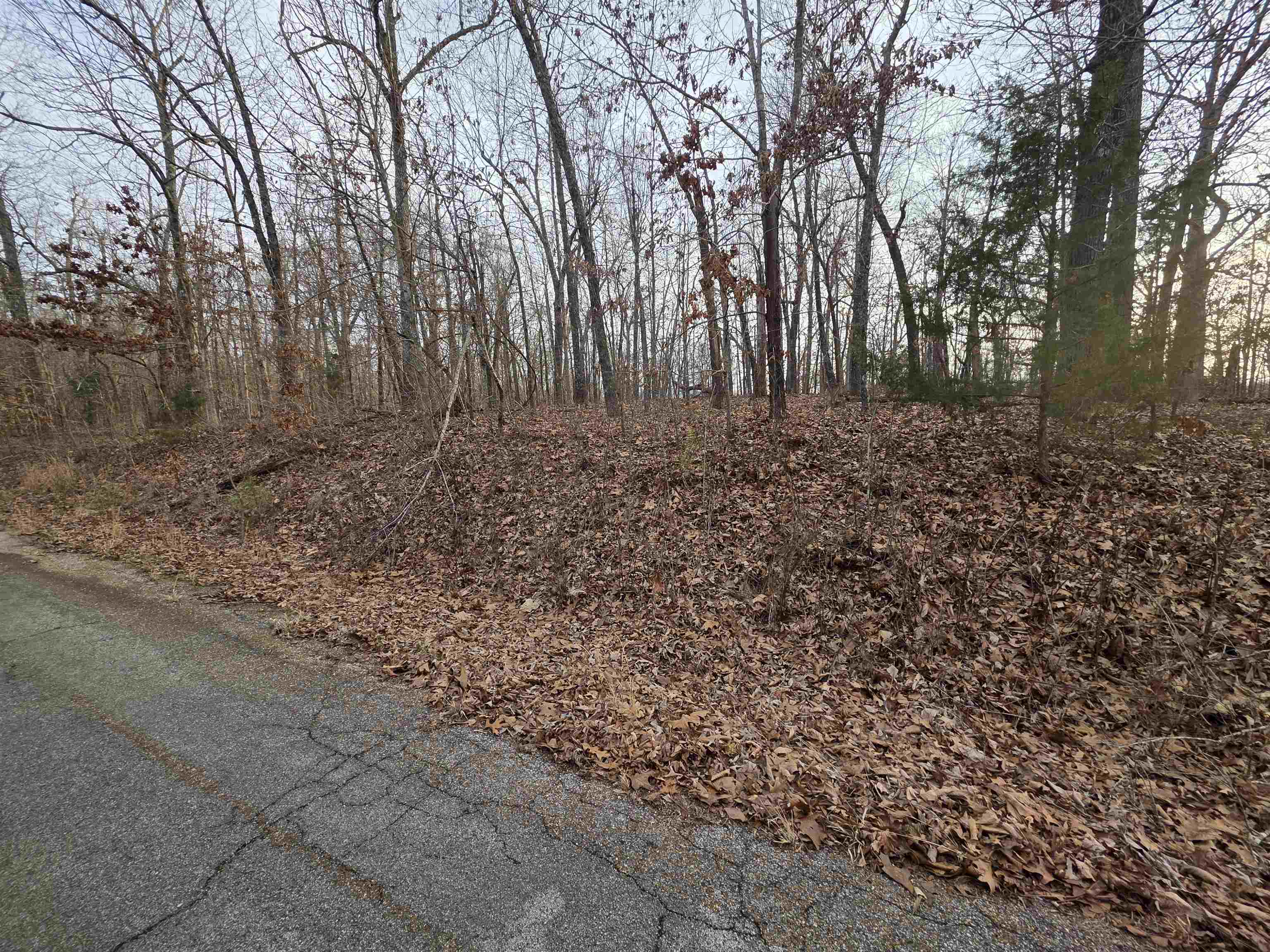 7 Lots Cherokee Village Property Photo 22