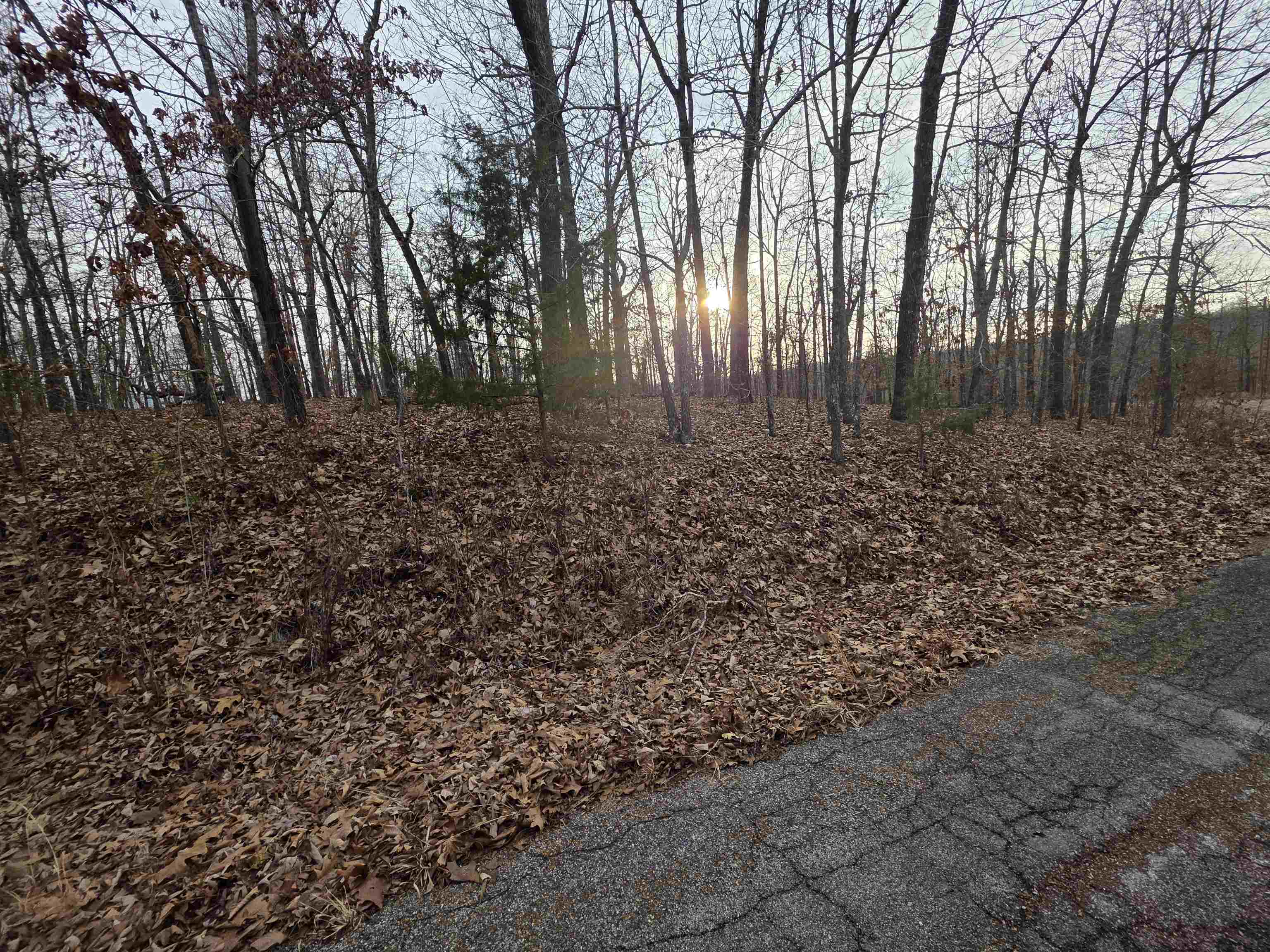 7 Lots Cherokee Village Property Photo 23