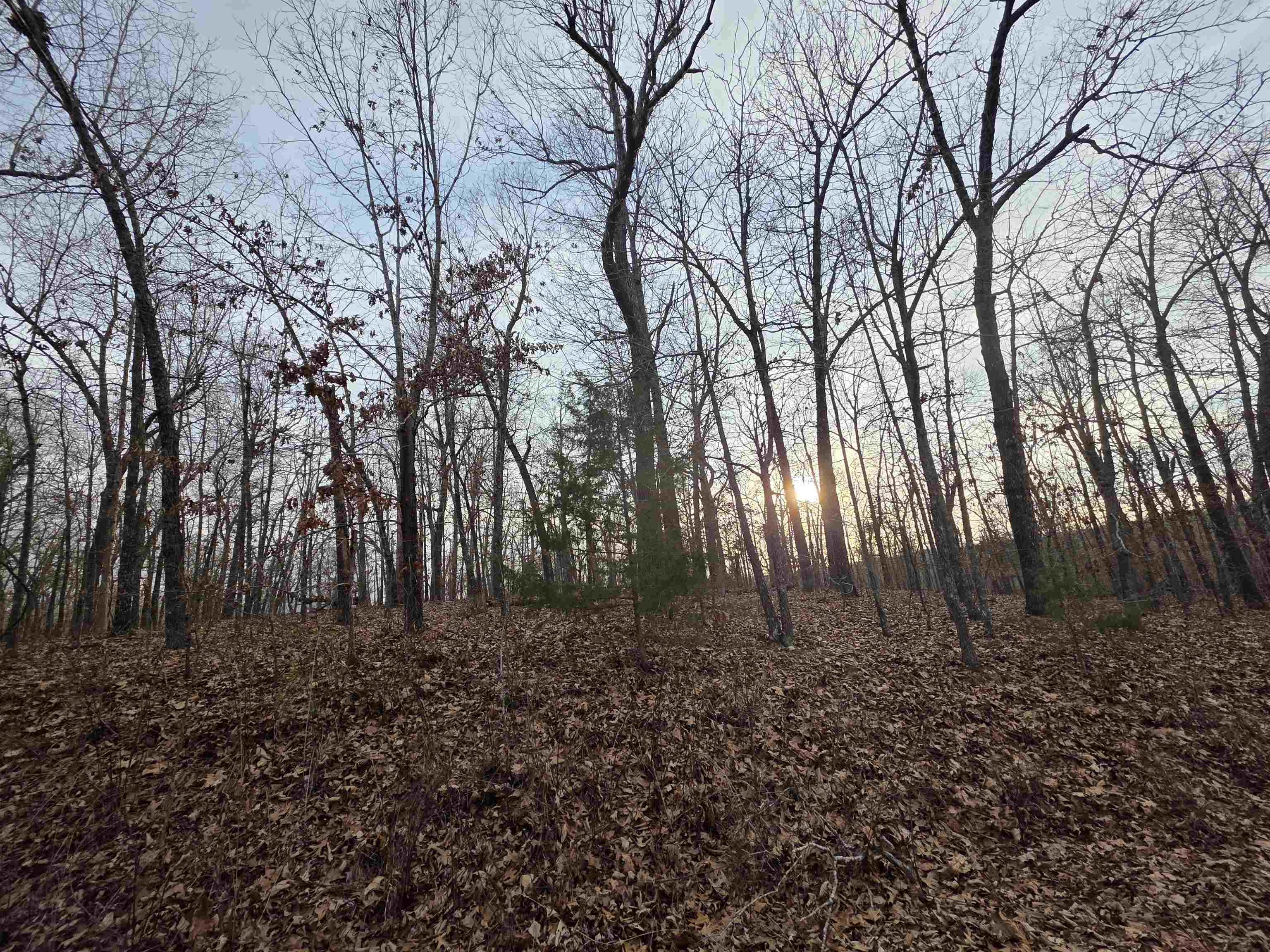 7 Lots Cherokee Village Property Photo 24
