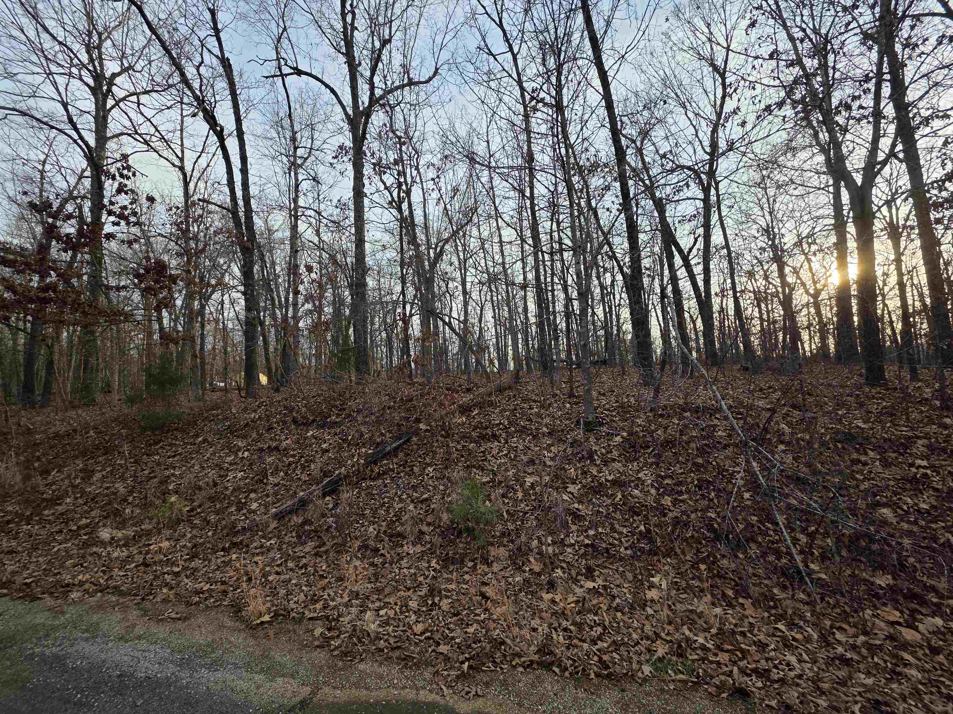 7 Lots Cherokee Village Property Photo 25