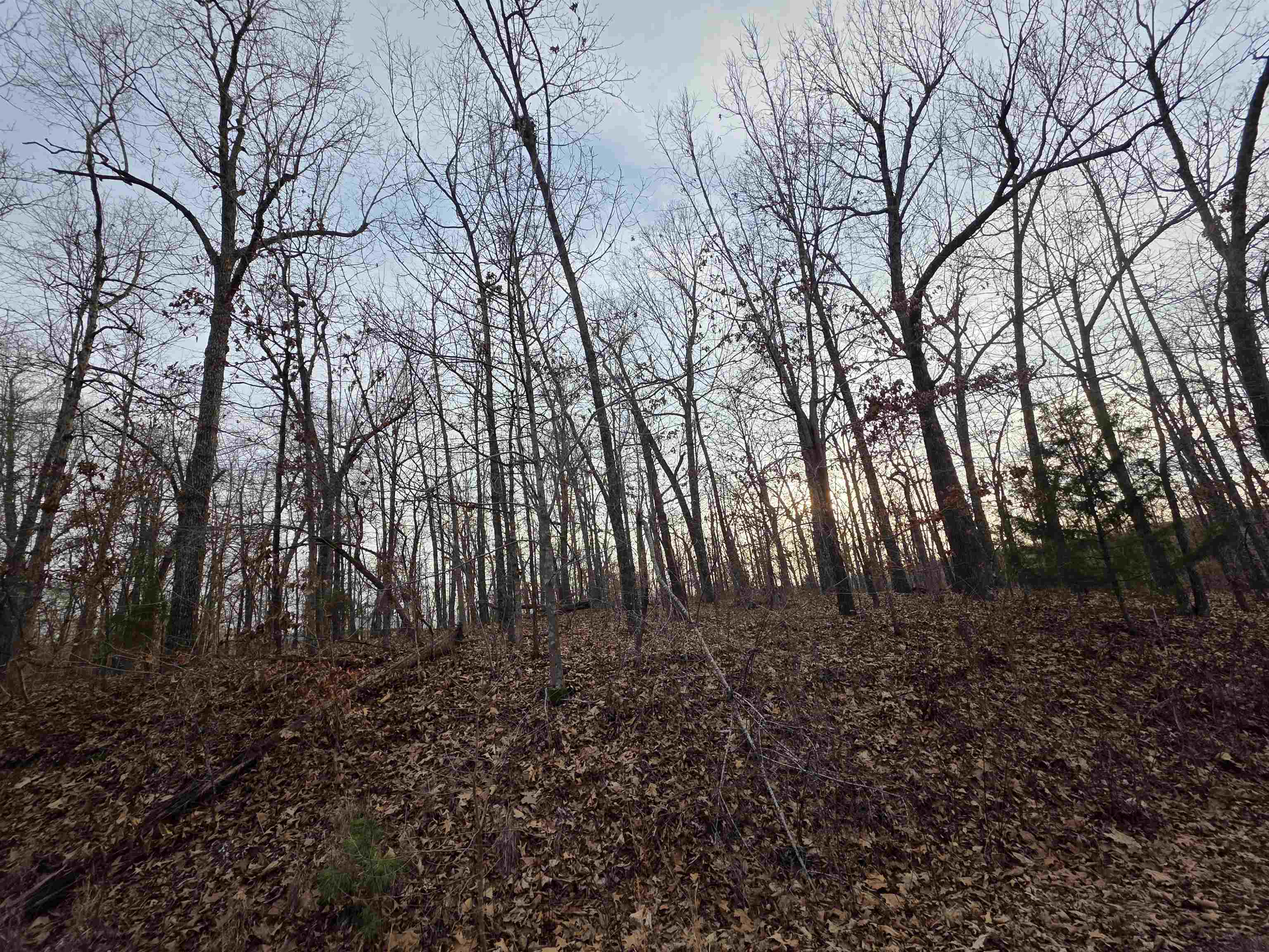 7 Lots Cherokee Village Property Photo 26