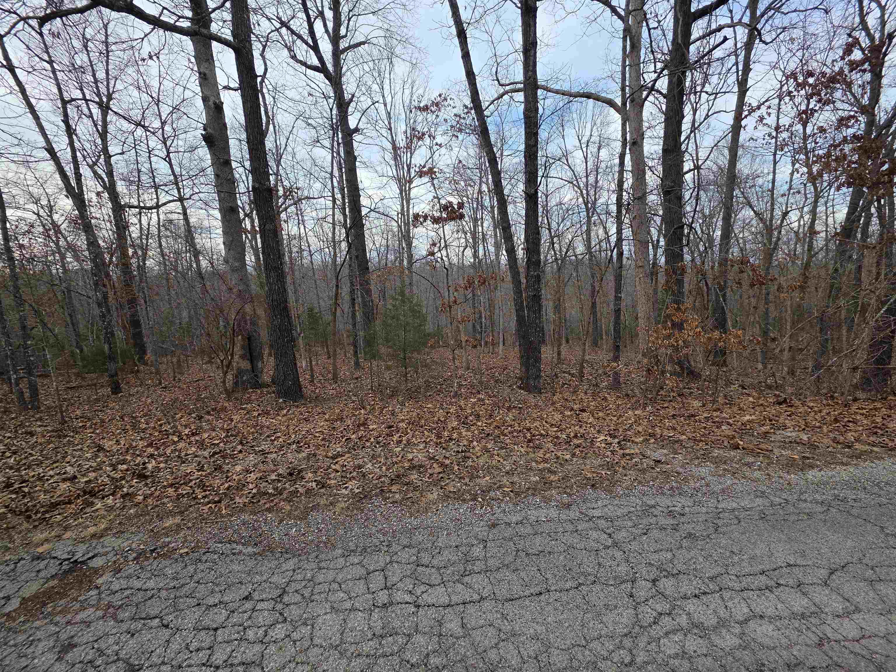 7 Lots Cherokee Village Property Photo 28