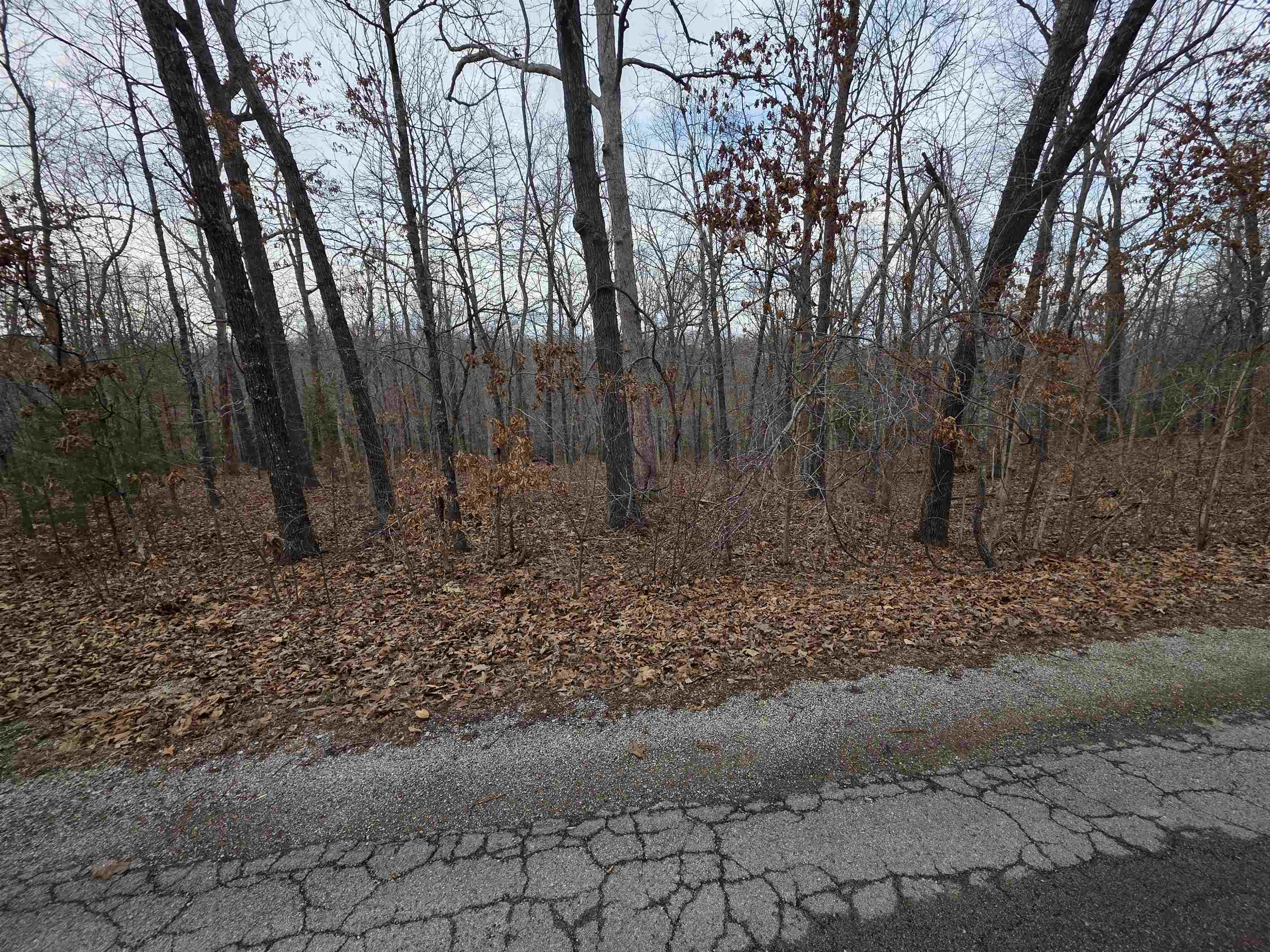 7 Lots Cherokee Village Property Photo 29