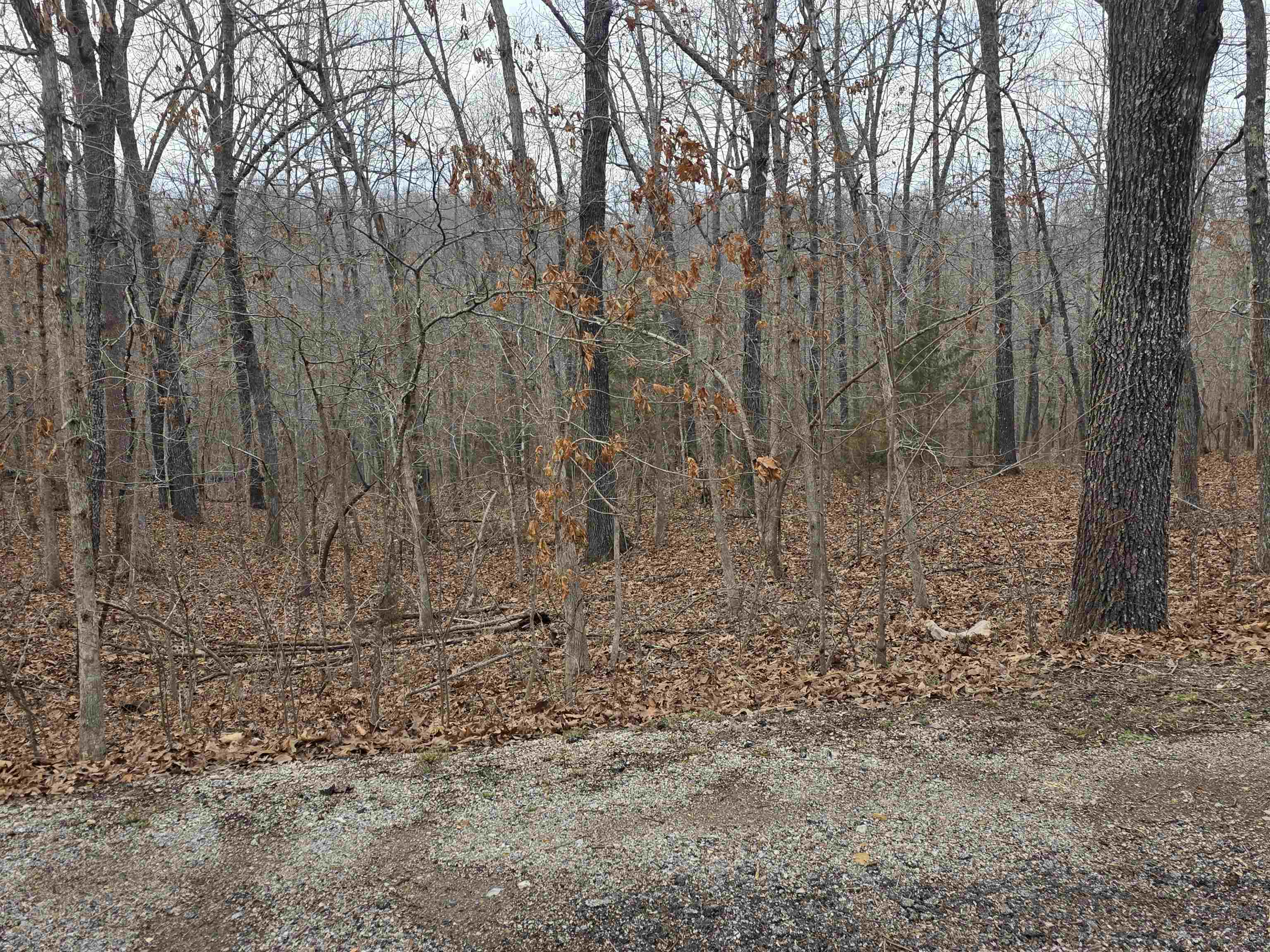 7 Lots Cherokee Village Property Photo 31