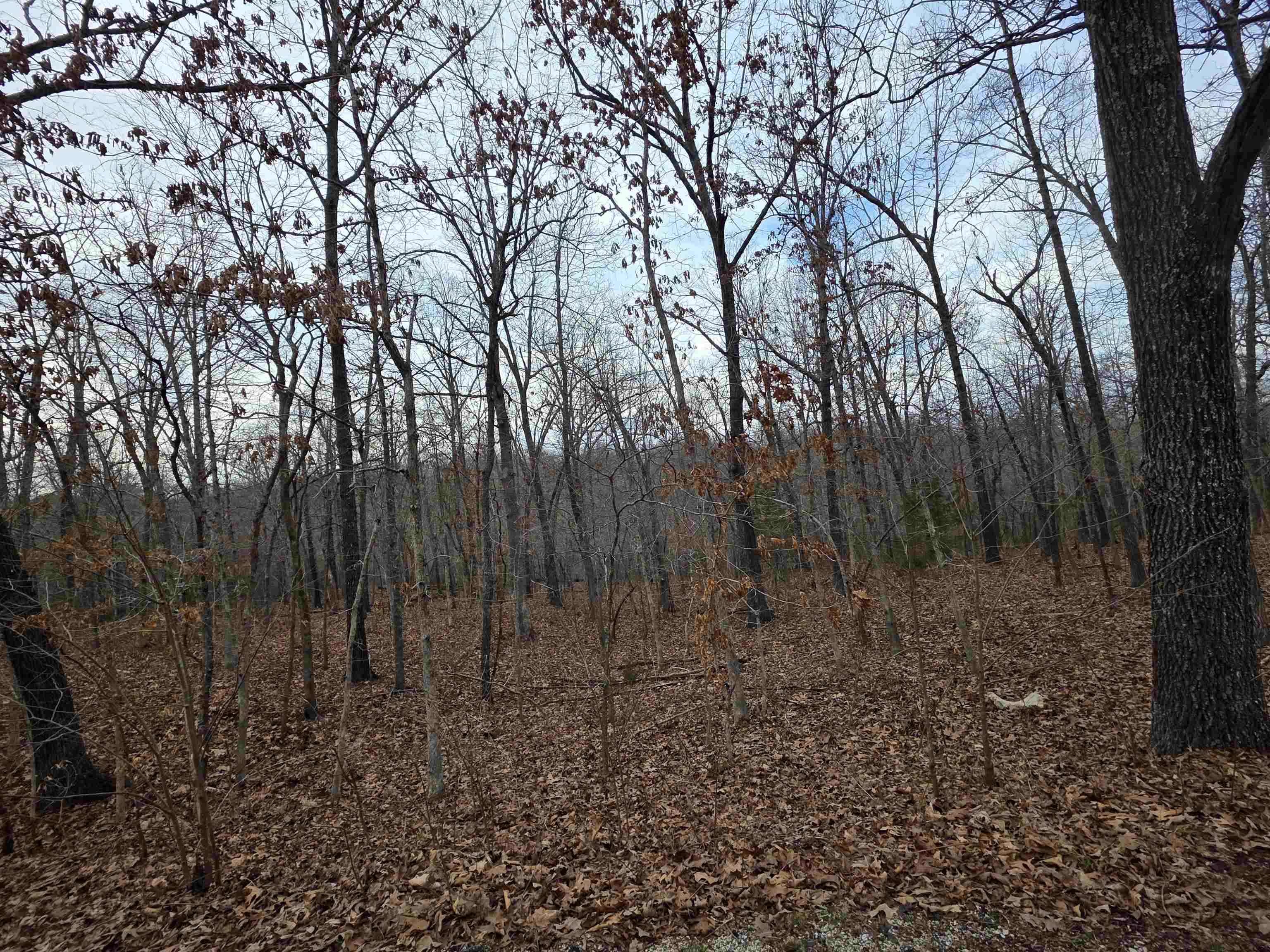 7 Lots Cherokee Village Property Photo 32