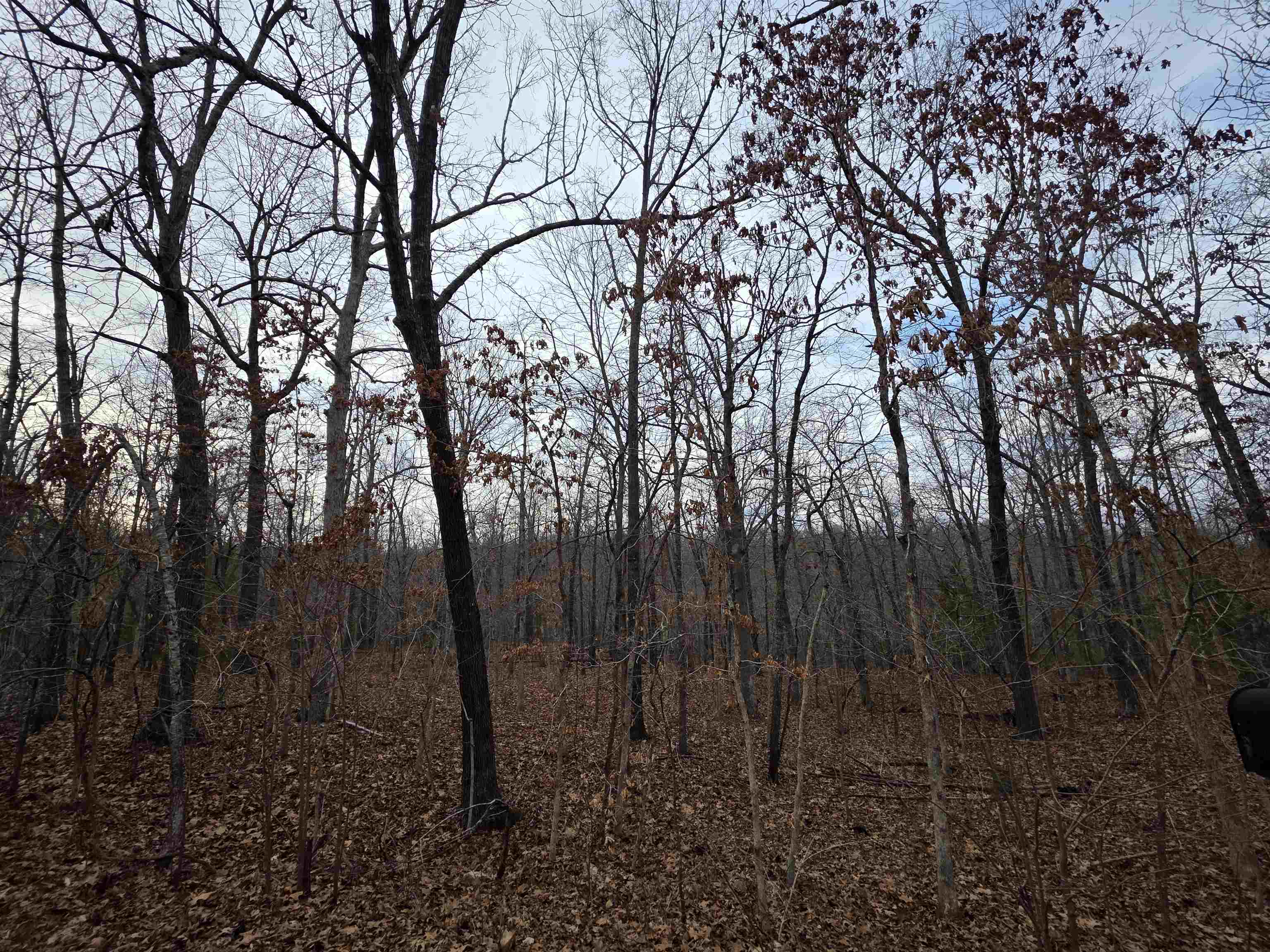 7 Lots Cherokee Village Property Photo 33