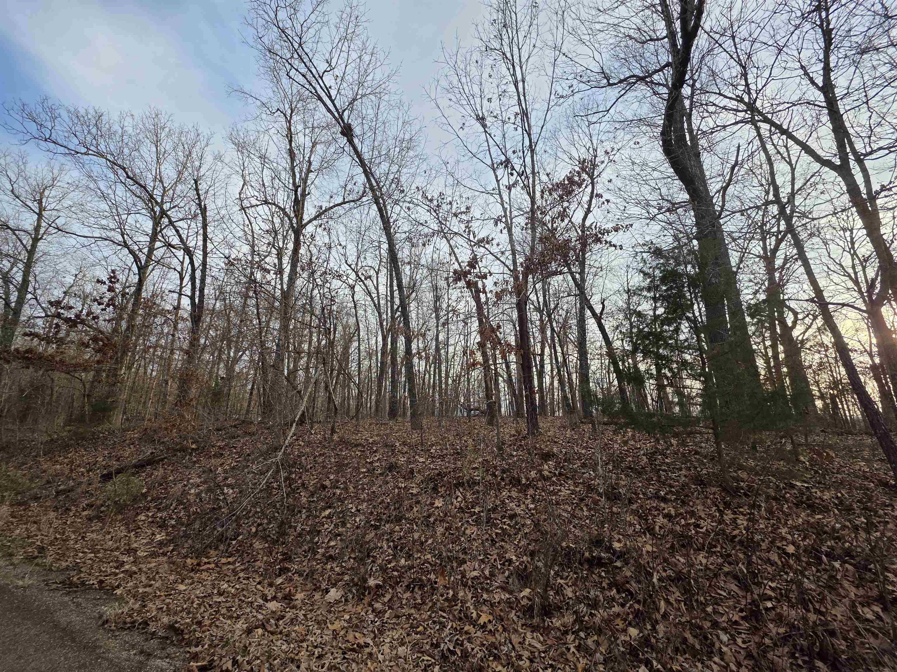 L39 B1 Nakoma Drive Property Photo 8