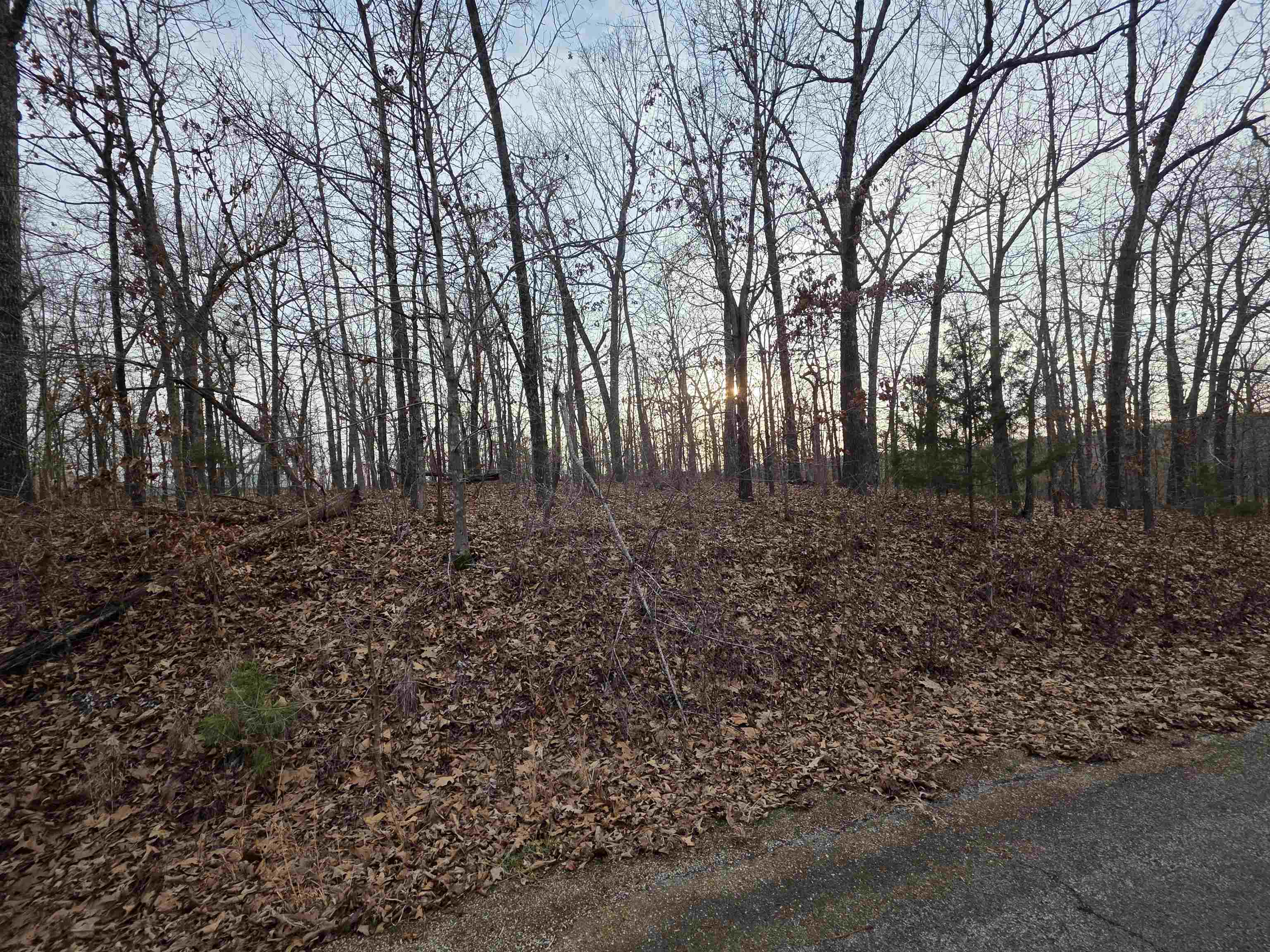 L39 B1 Nakoma Drive Property Photo 11