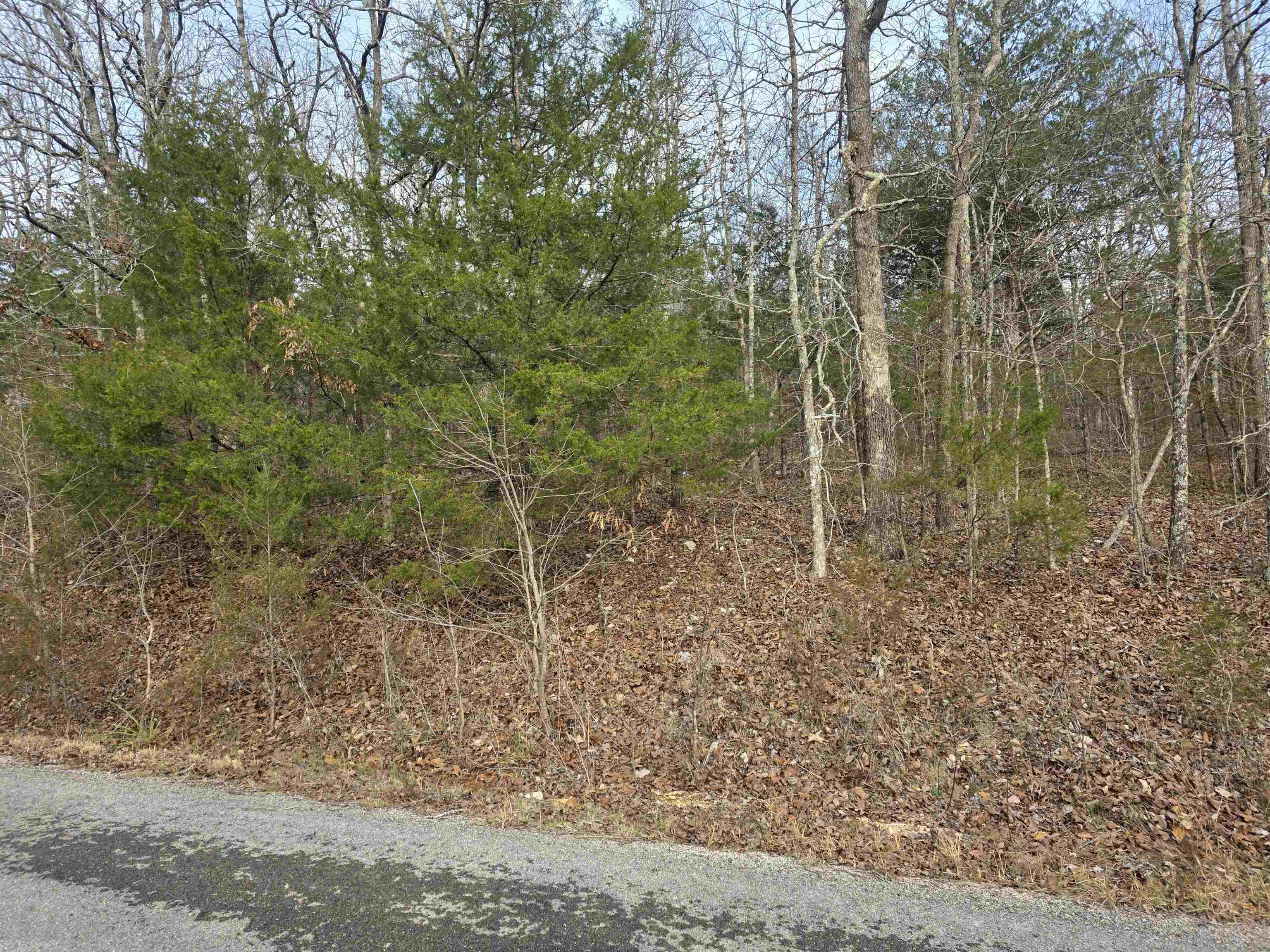 L26 B4 Boanna Property Photo 4