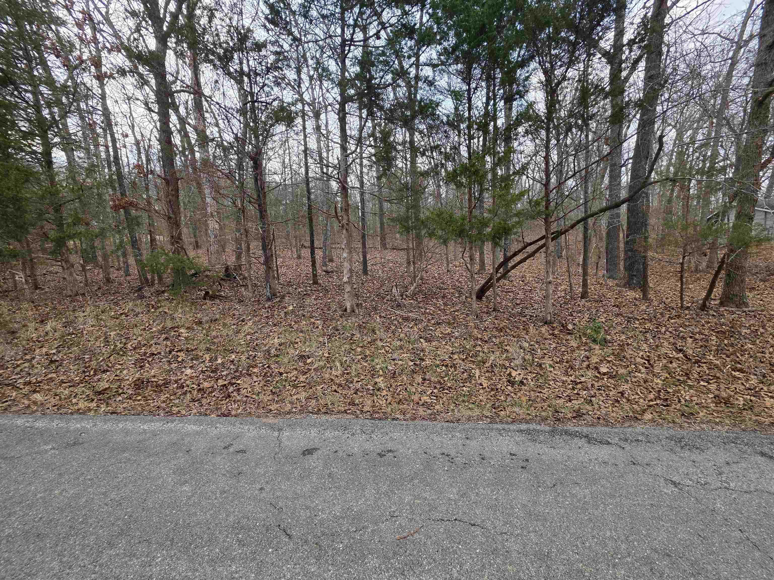 L3 B12 Spring Water Drive Property Photo 3