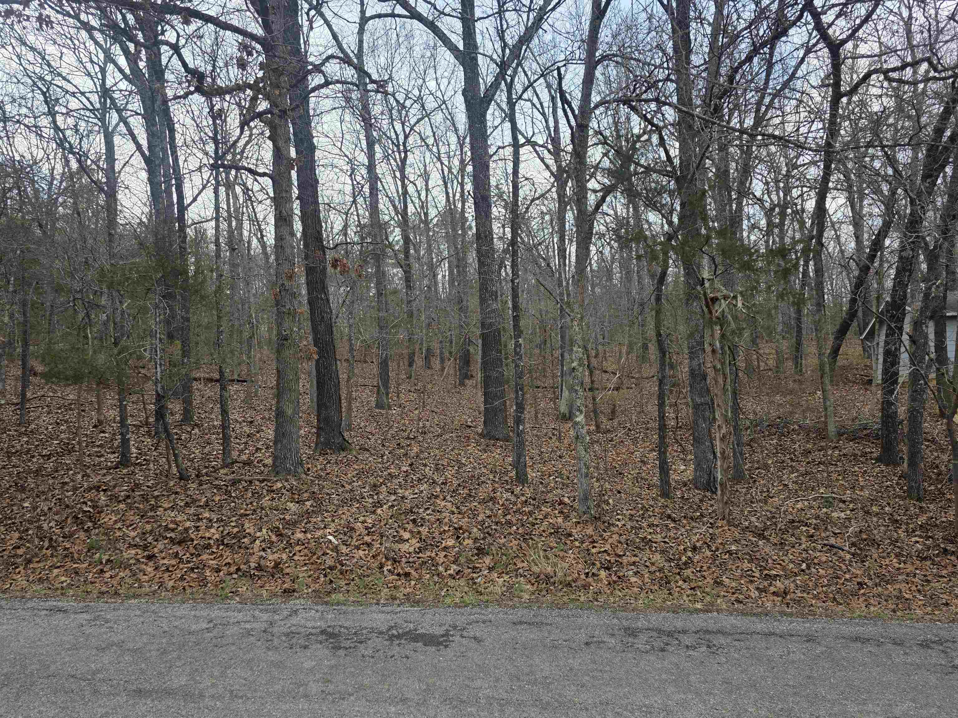 L3 B12 Spring Water Drive Property Photo 6