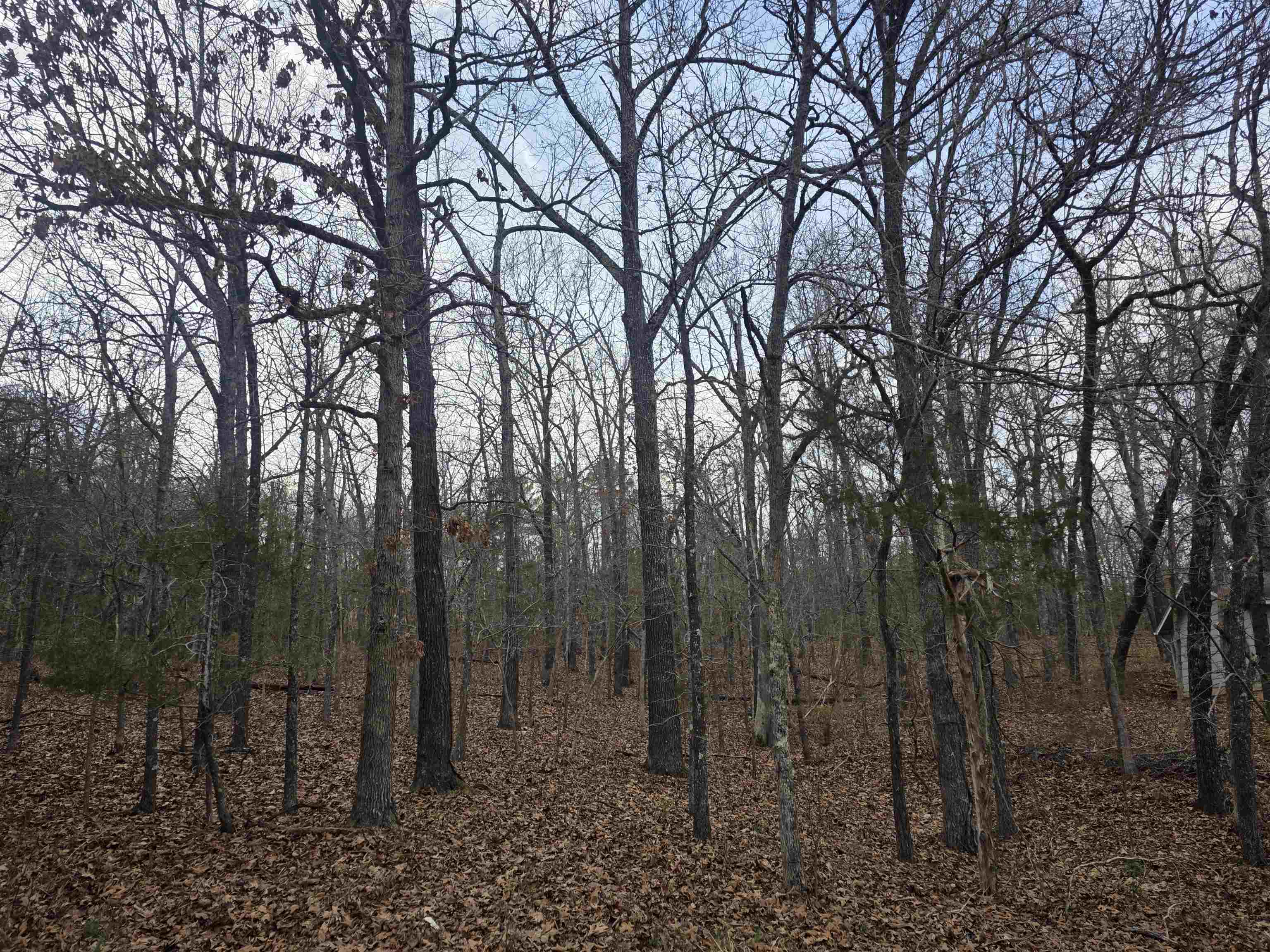 L3 B12 Spring Water Drive Property Photo 7