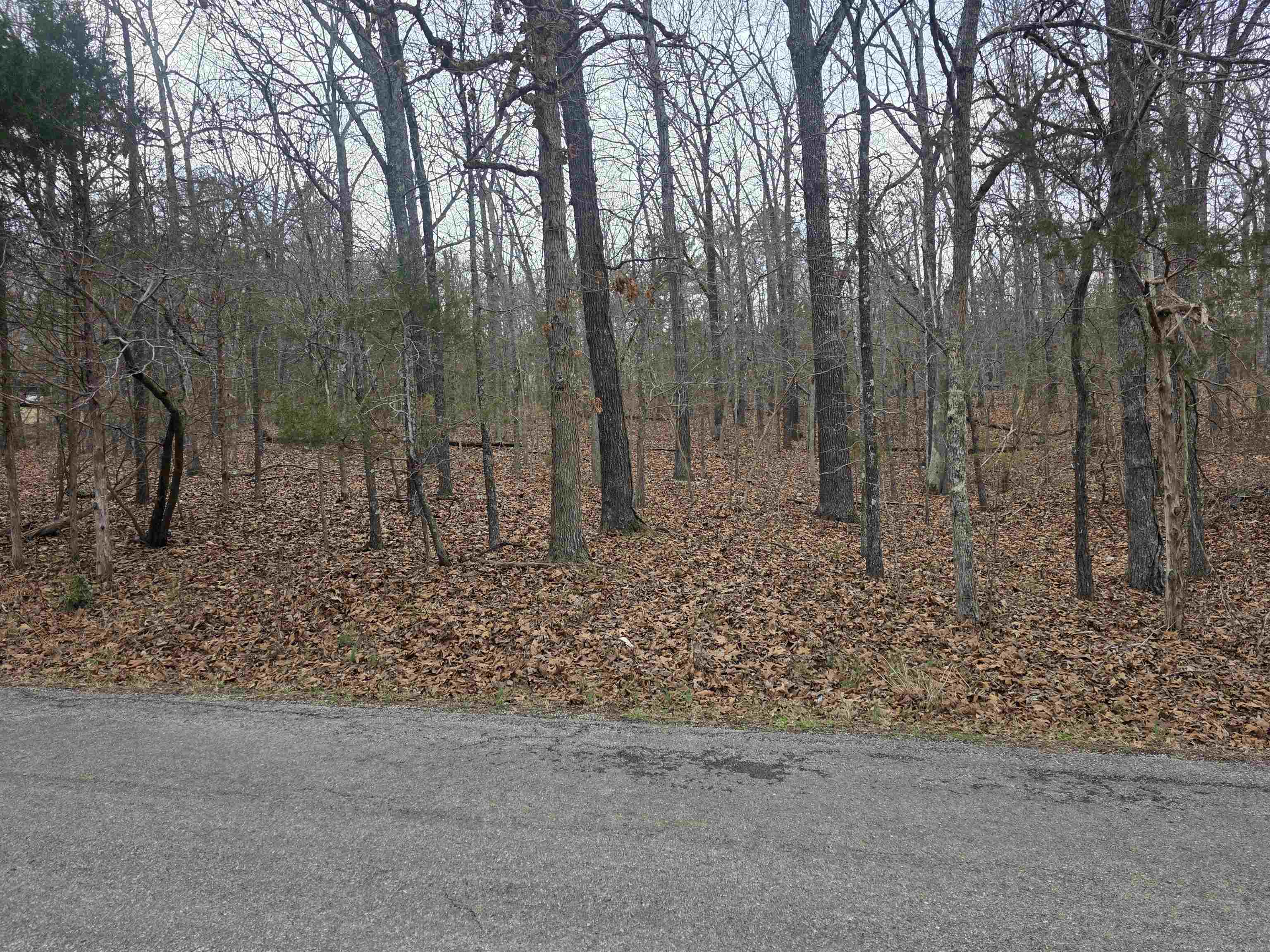 L3 B12 Spring Water Drive Property Photo 8