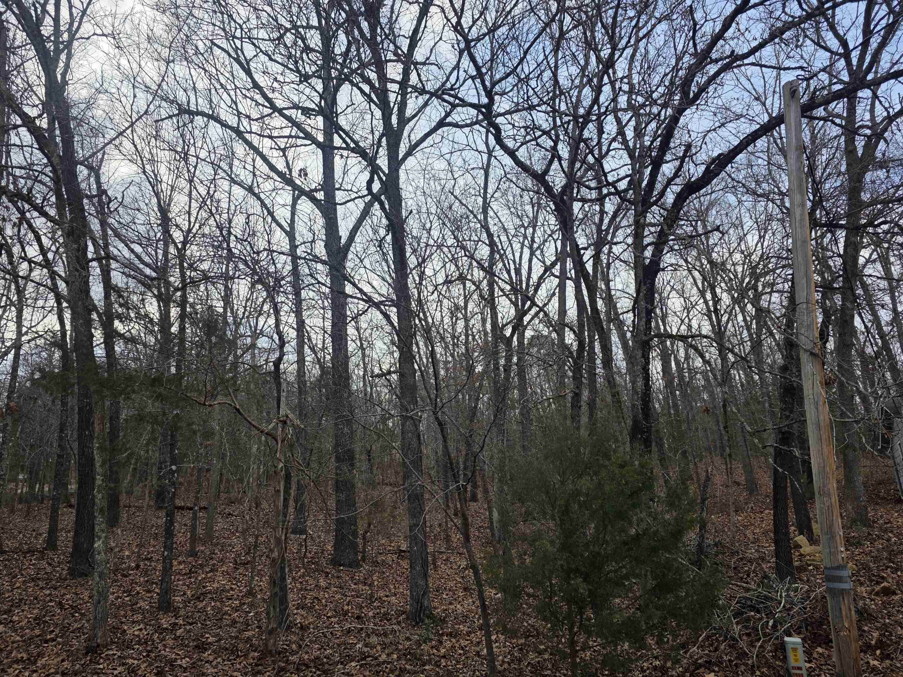 L3 B12 Spring Water Drive Property Photo 10