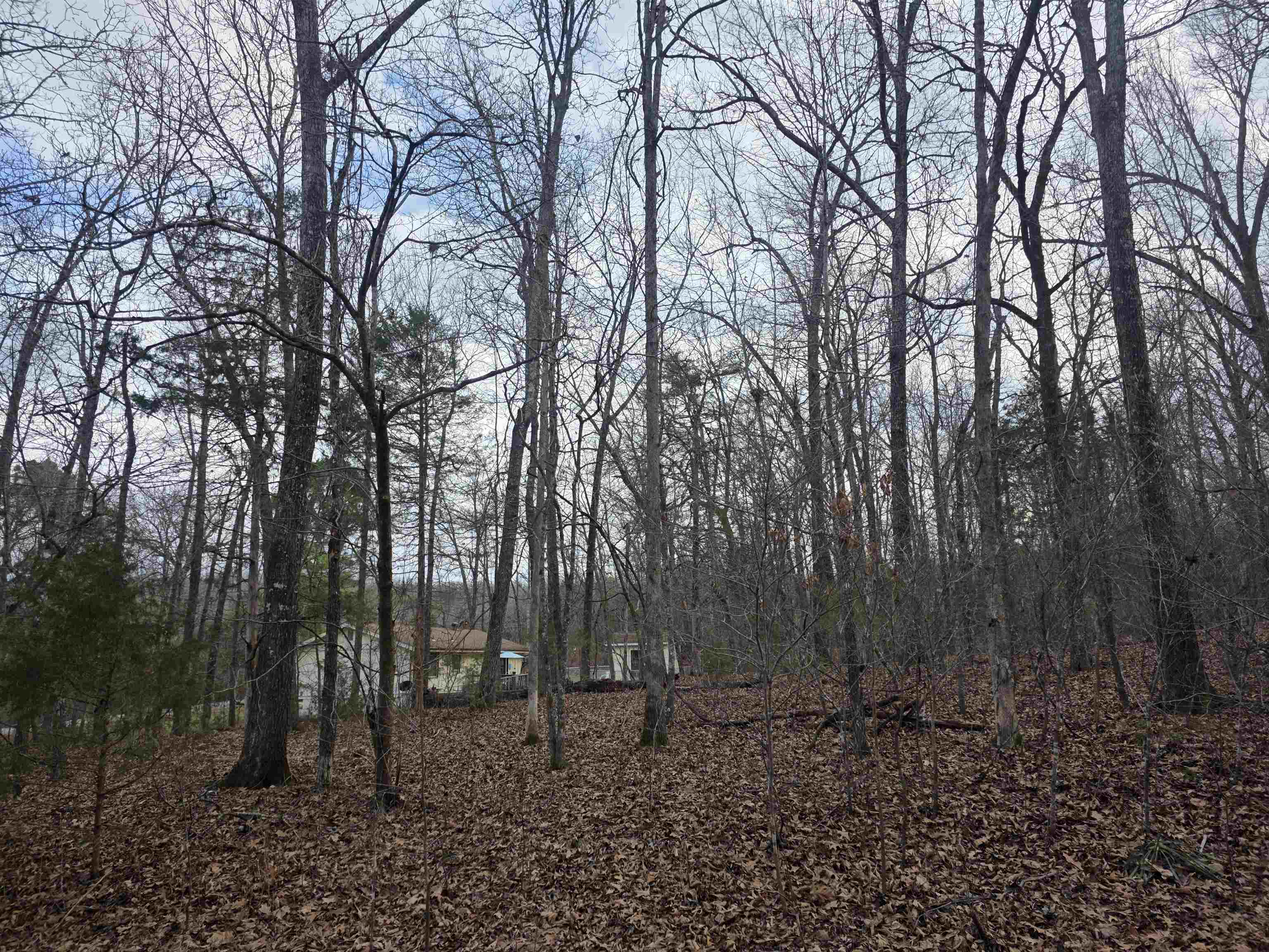 L13 B12 Seca Drive Property Photo 8