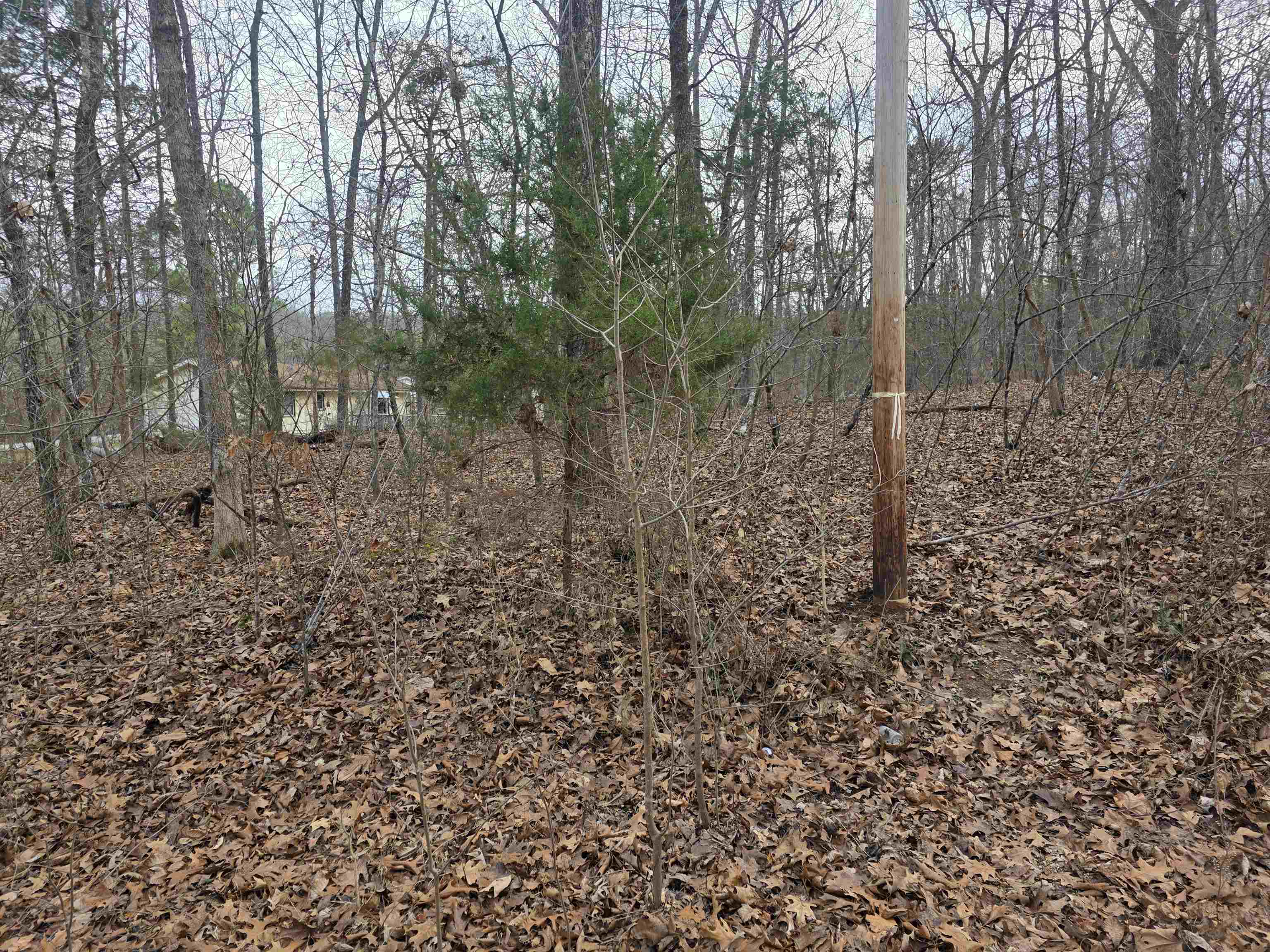 L13 B12 Seca Drive Property Photo 11