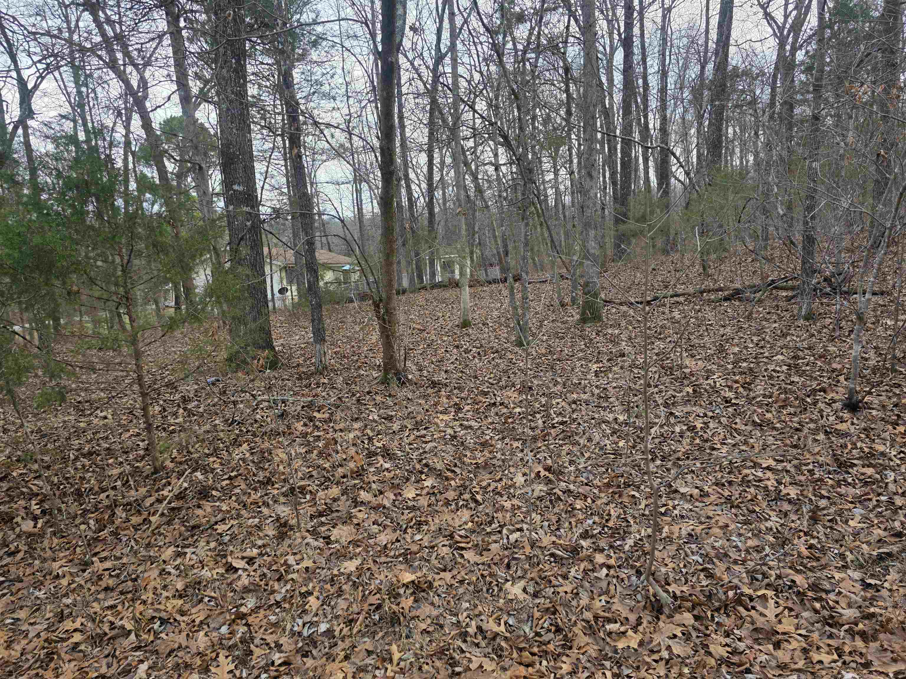 L13 B12 Seca Drive Property Photo 12
