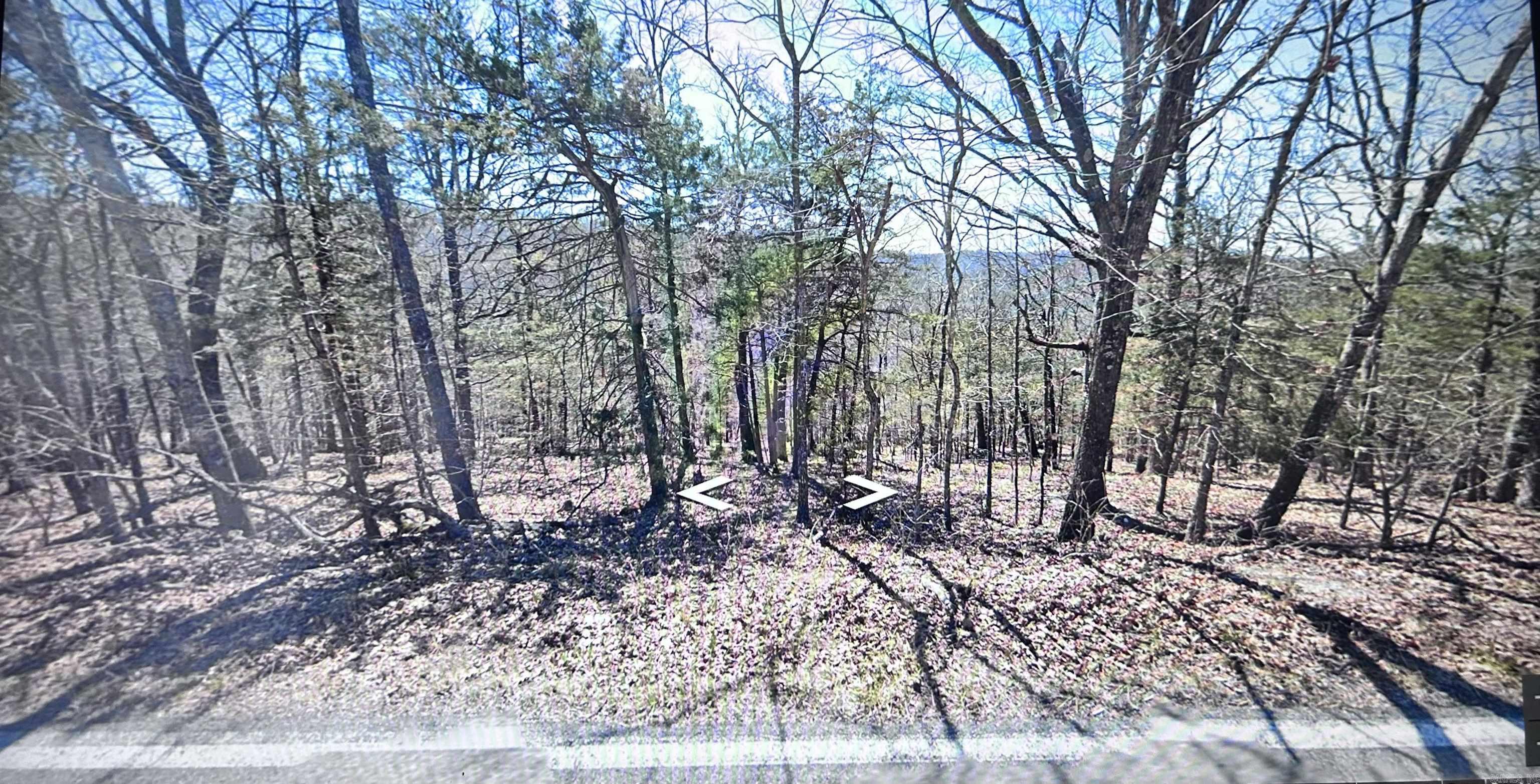 Lot 21 Stateline Drive Property Photo 3
