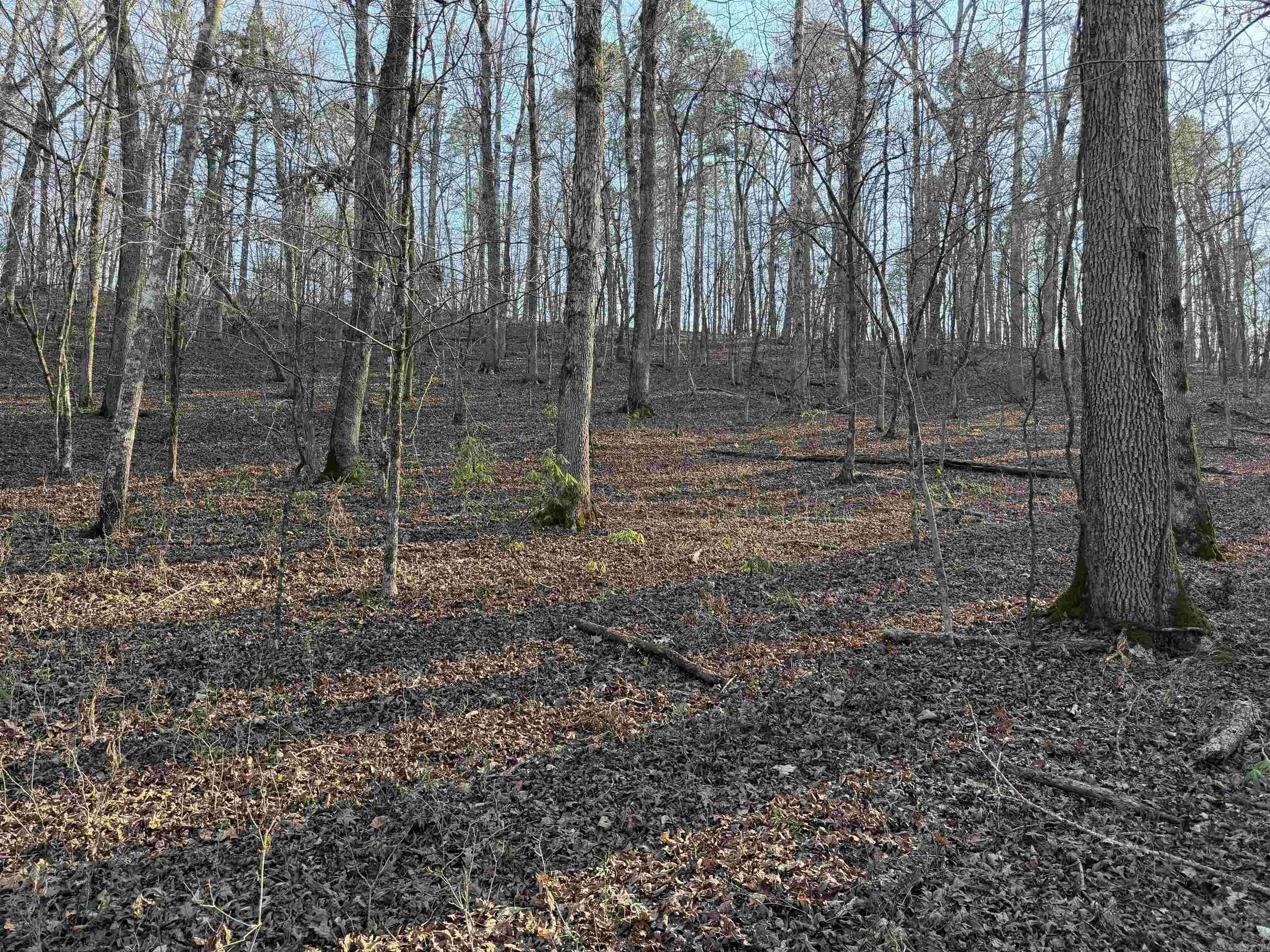 00 Highway 336 E Property Photo 1
