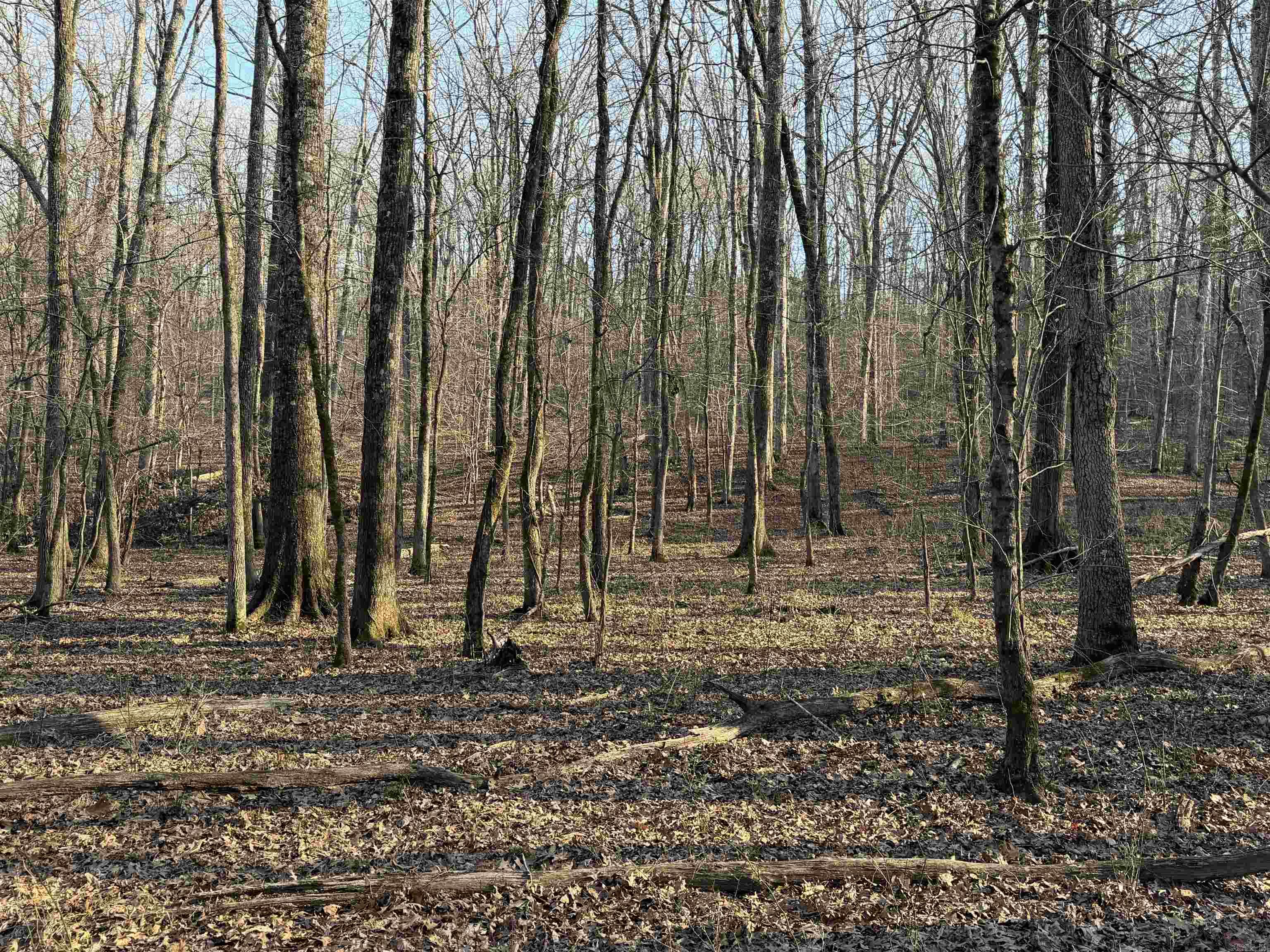 00 Highway 336 E Property Photo 2
