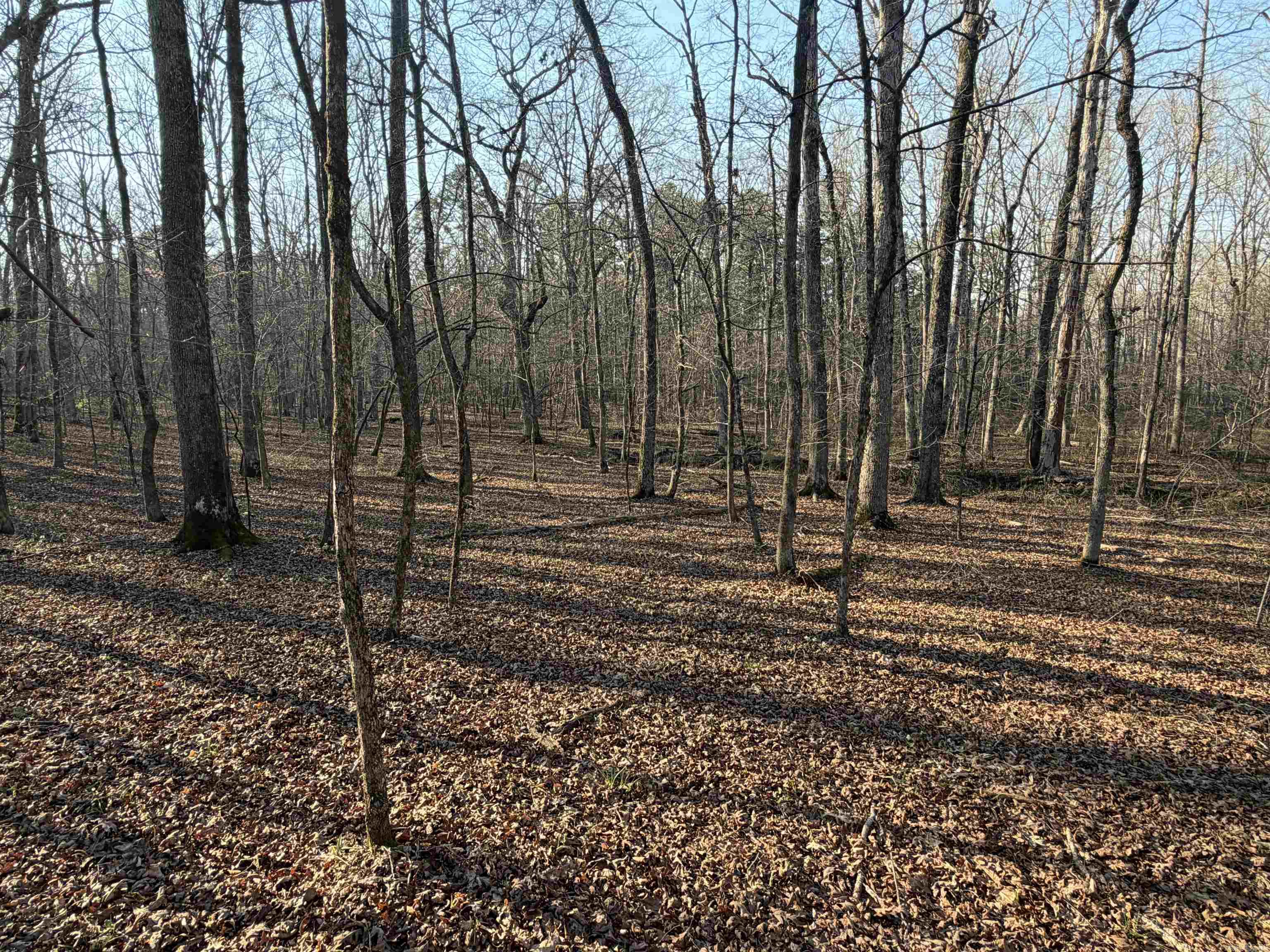 00 Highway 336 E Property Photo 4