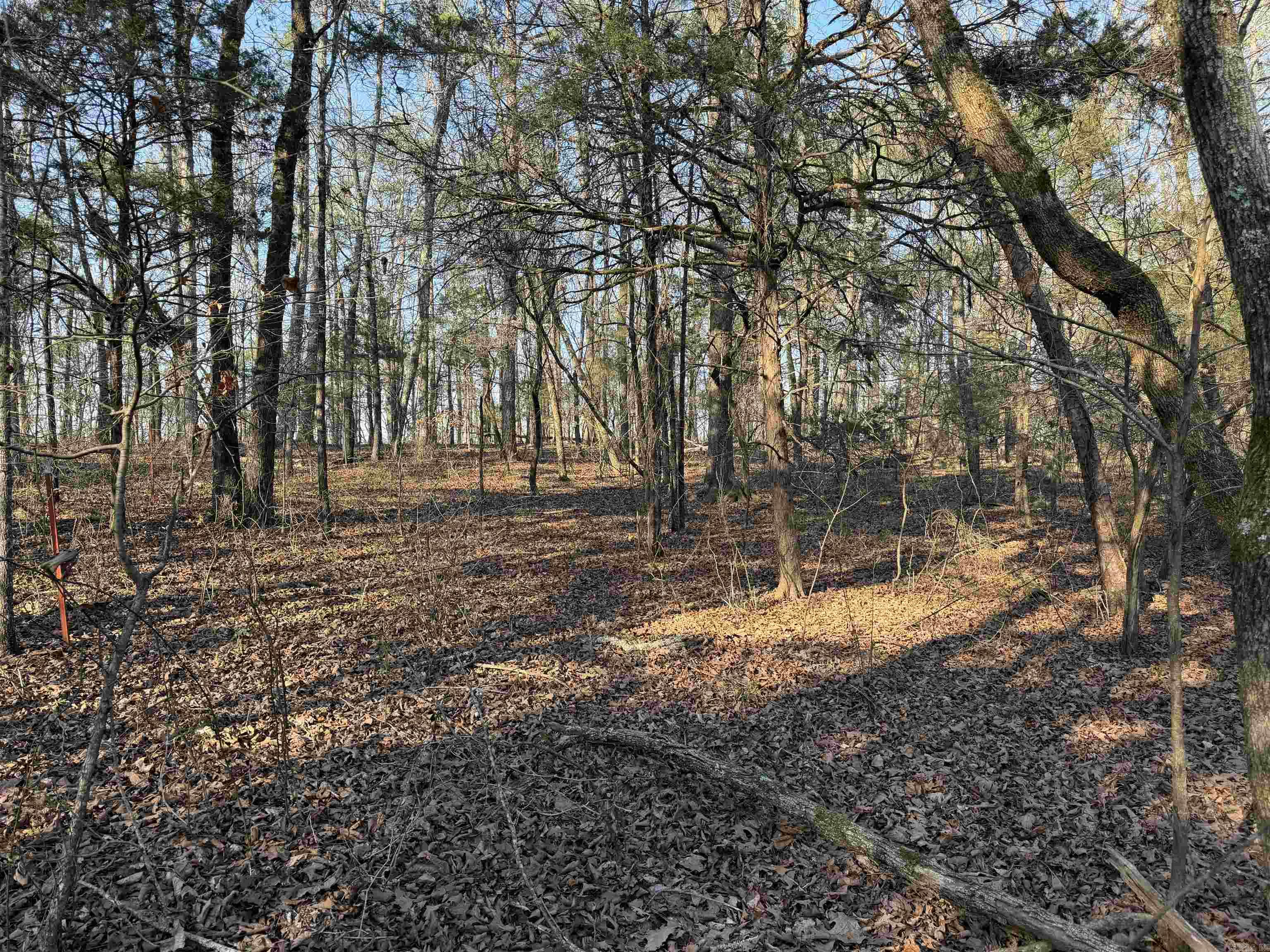 00 Highway 336 E Property Photo 8