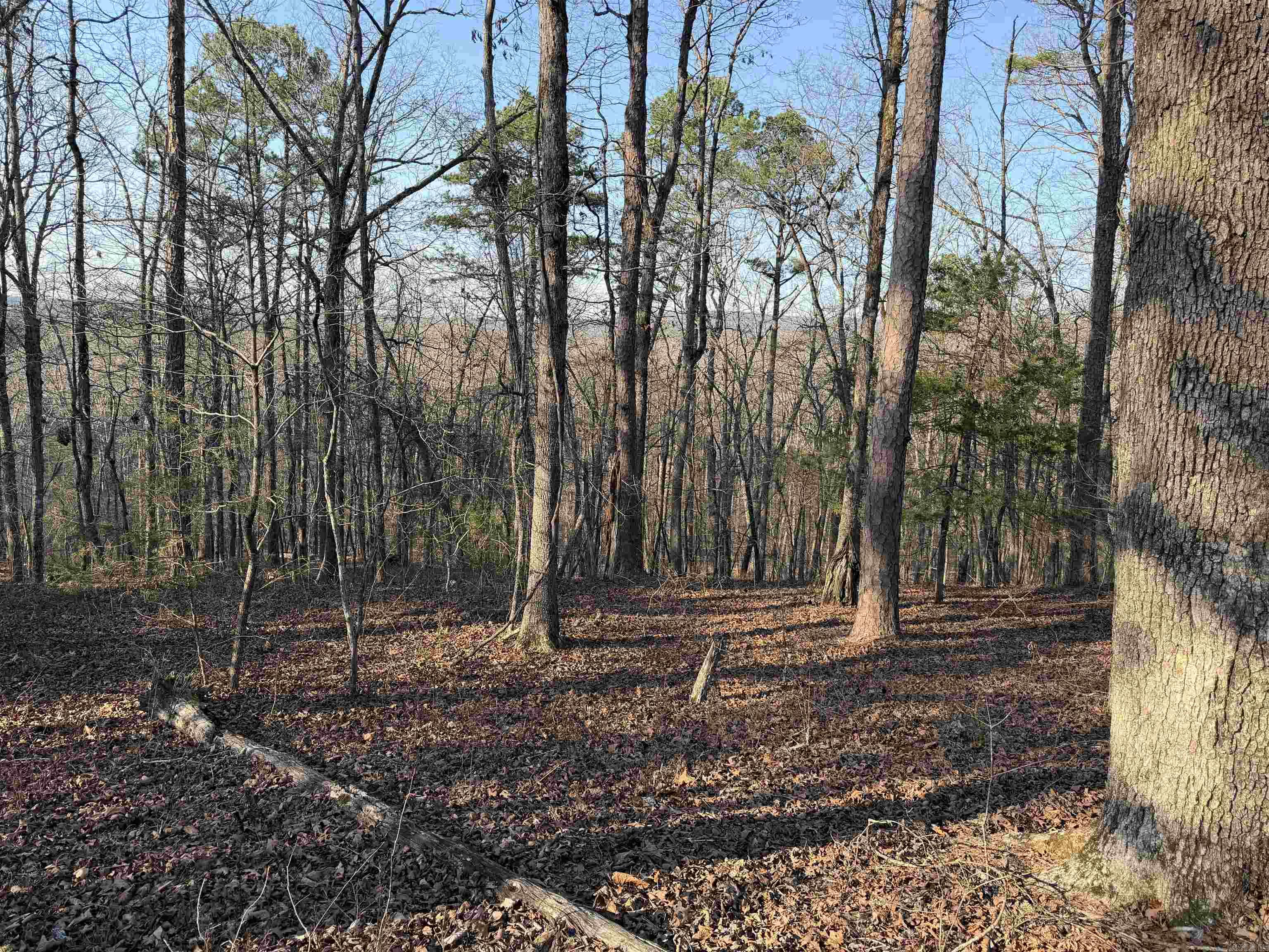 00 Highway 336 E Property Photo 9