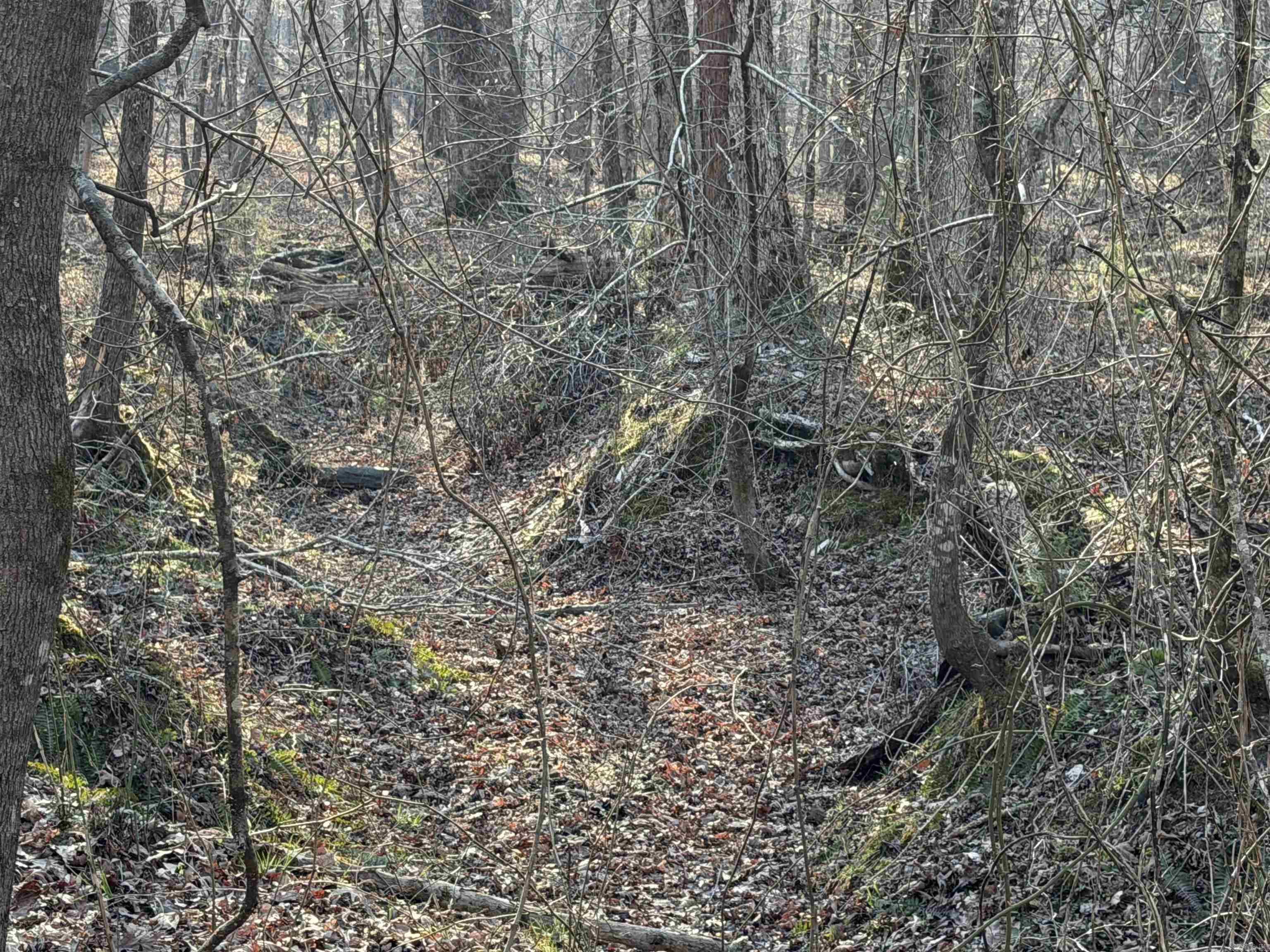 00 Highway 336 E Property Photo 12