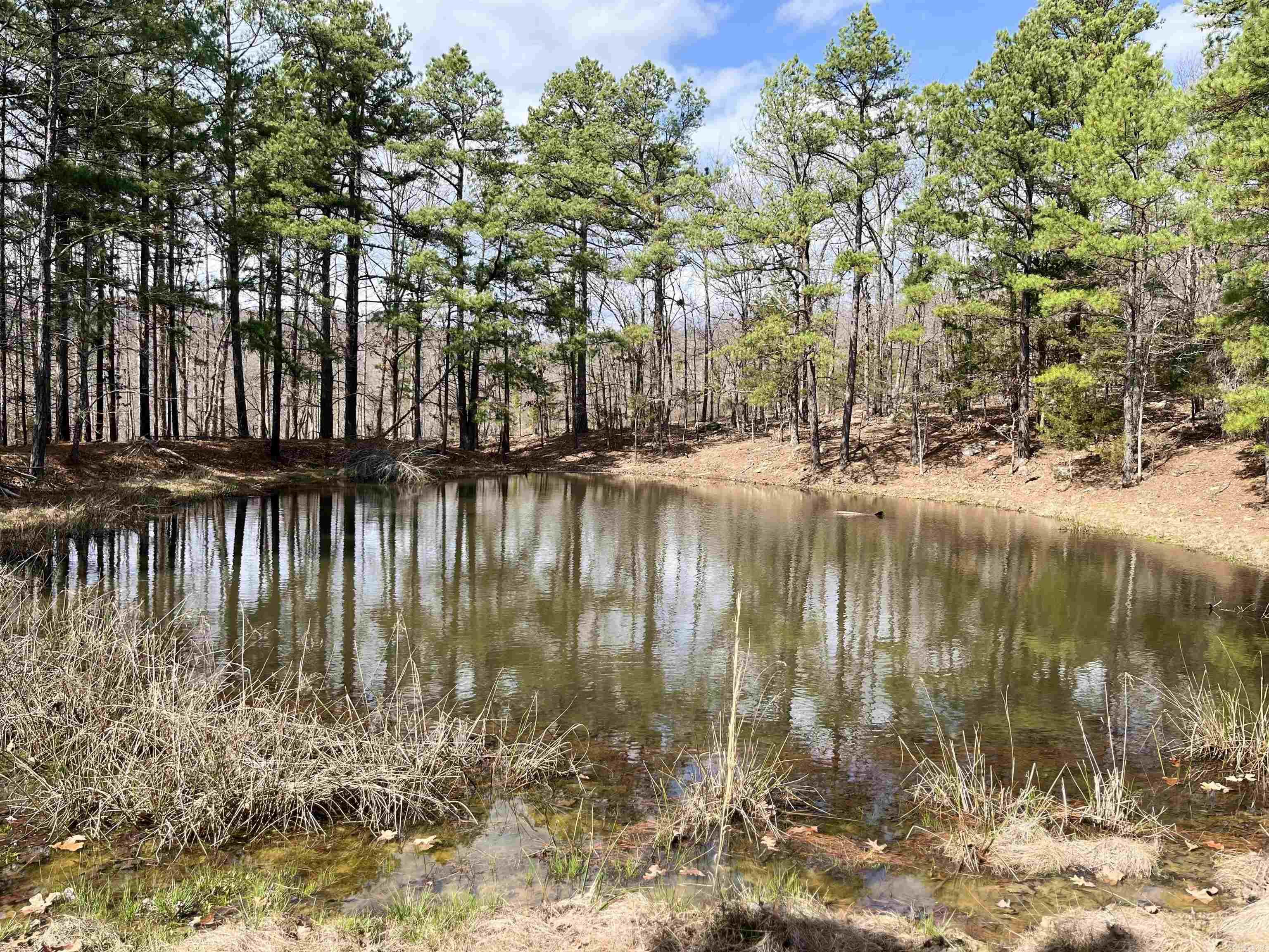 2314 Little Red River Road Property Photo 2
