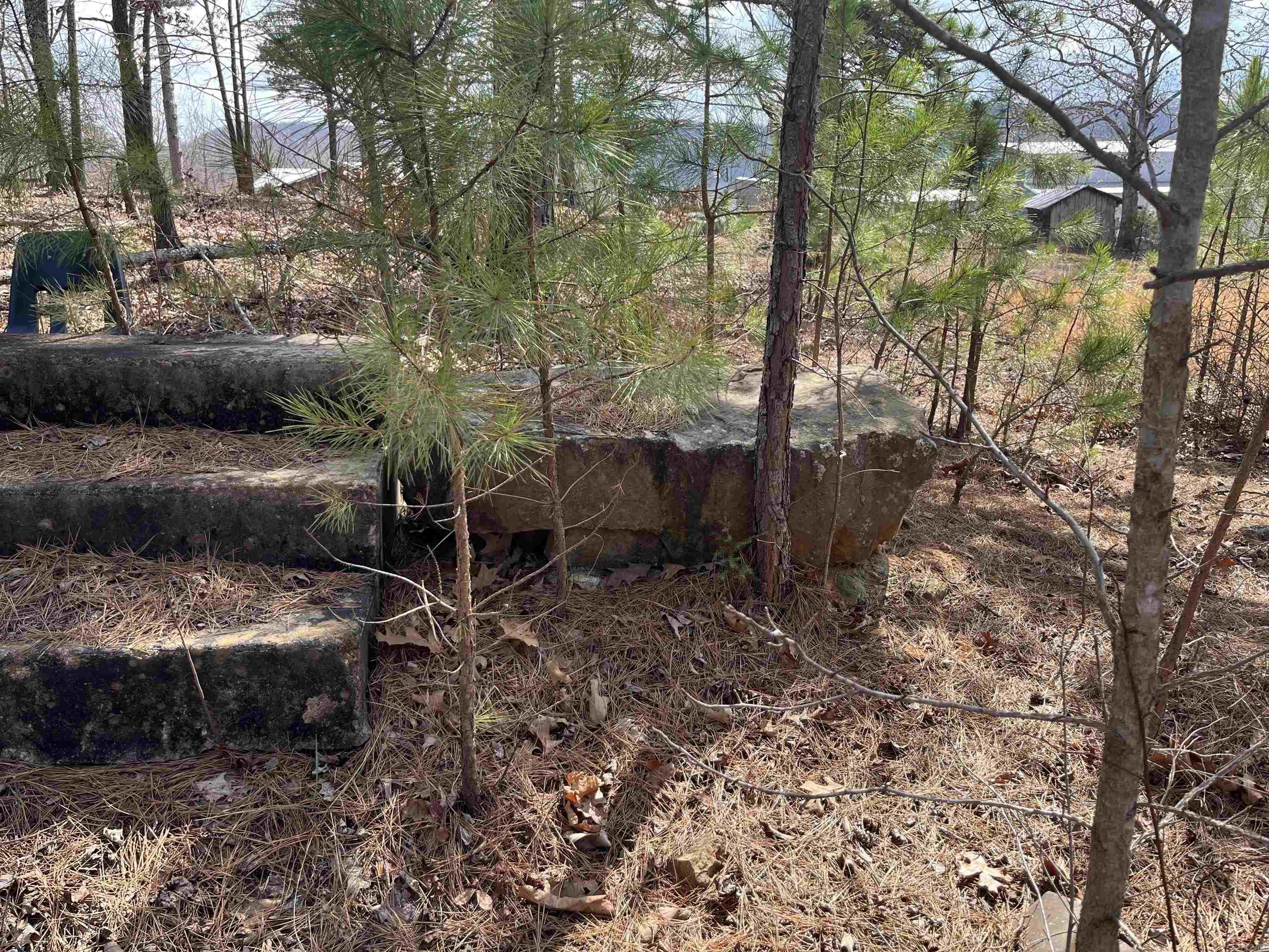 2314 Little Red River Road Property Photo 3
