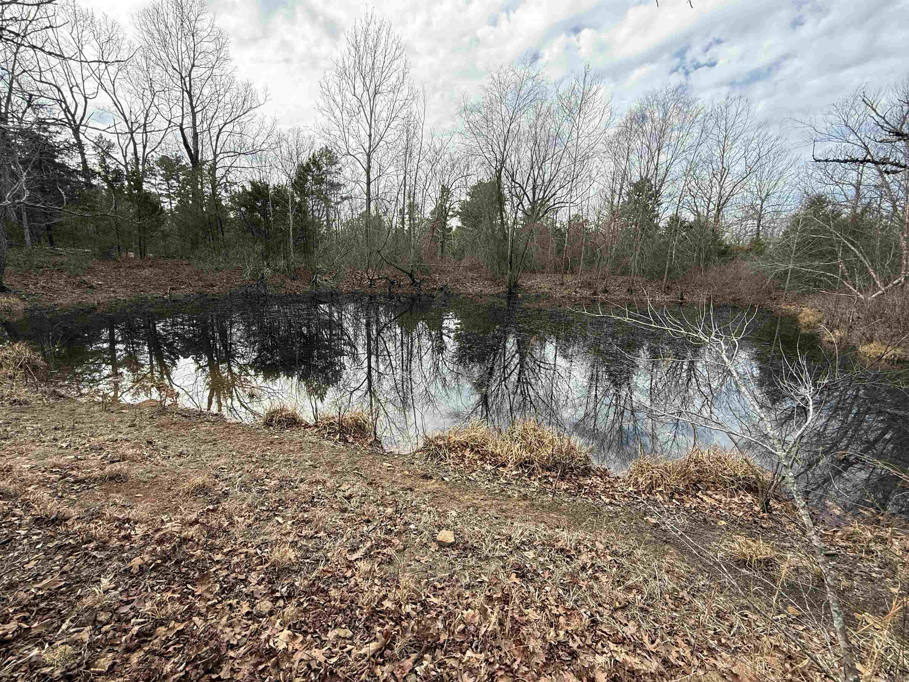 150 Blue Mountain Lane Property Photo 2