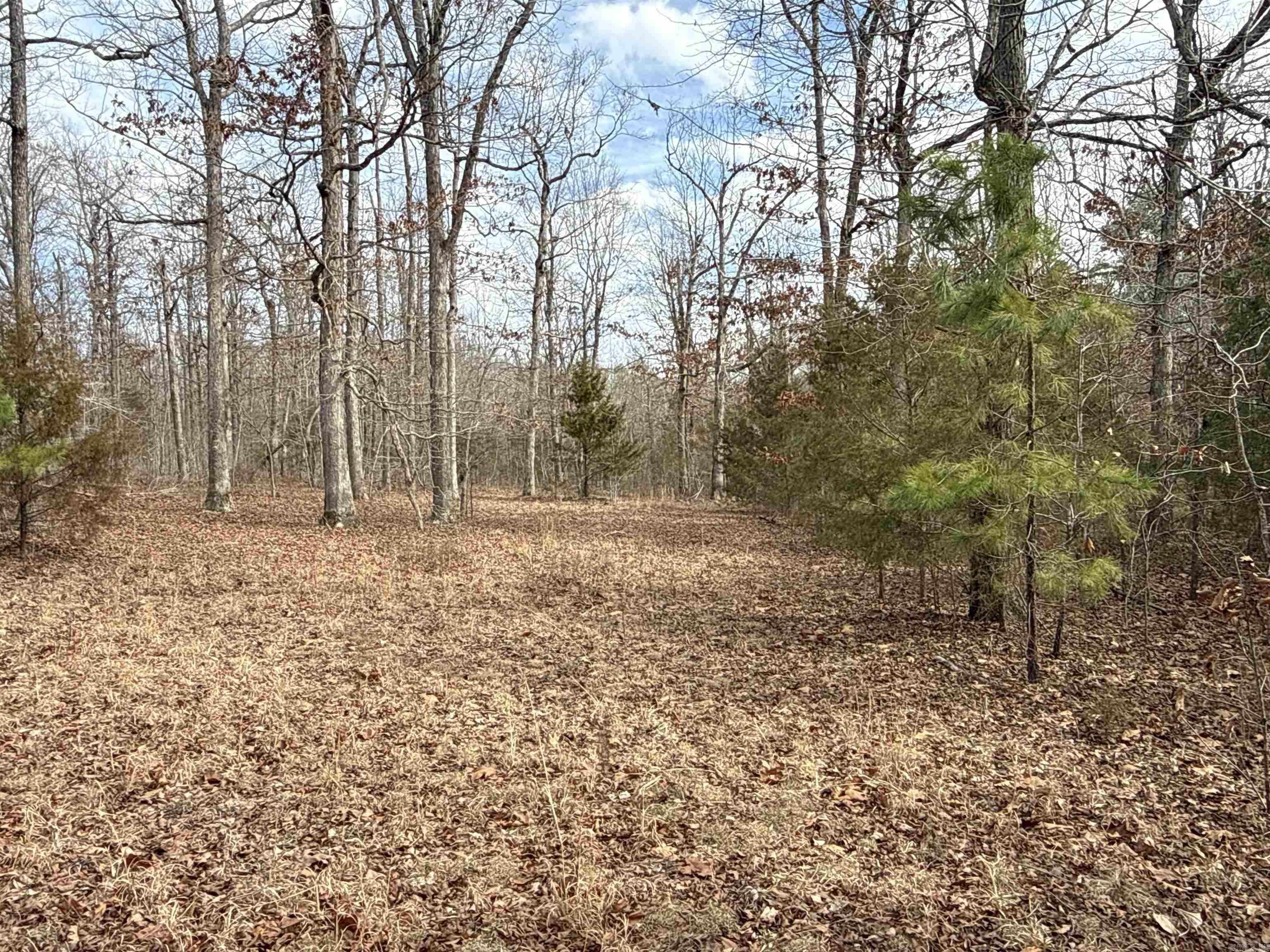 150 Blue Mountain Lane Property Photo 3