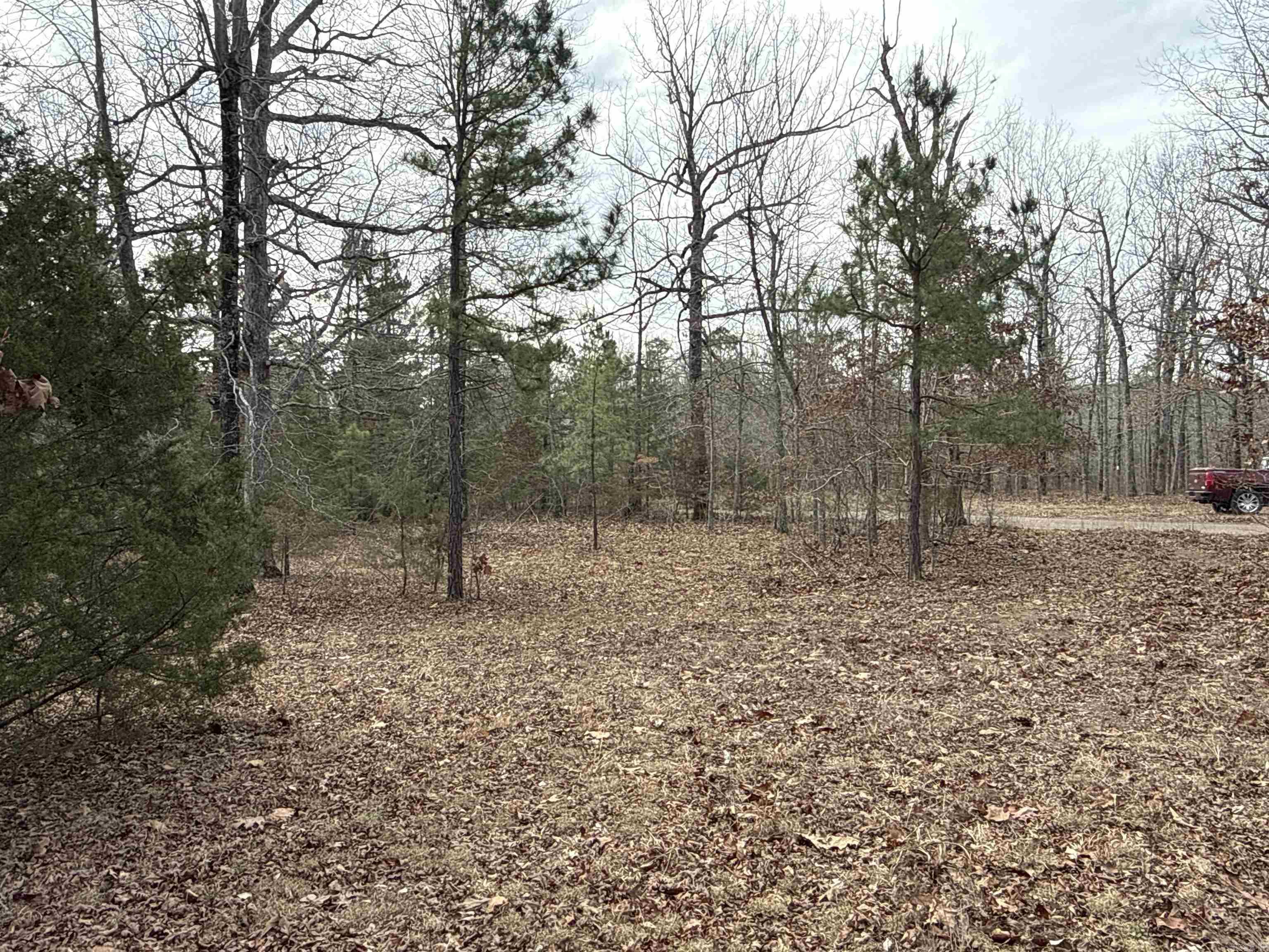 150 Blue Mountain Lane Property Photo 4