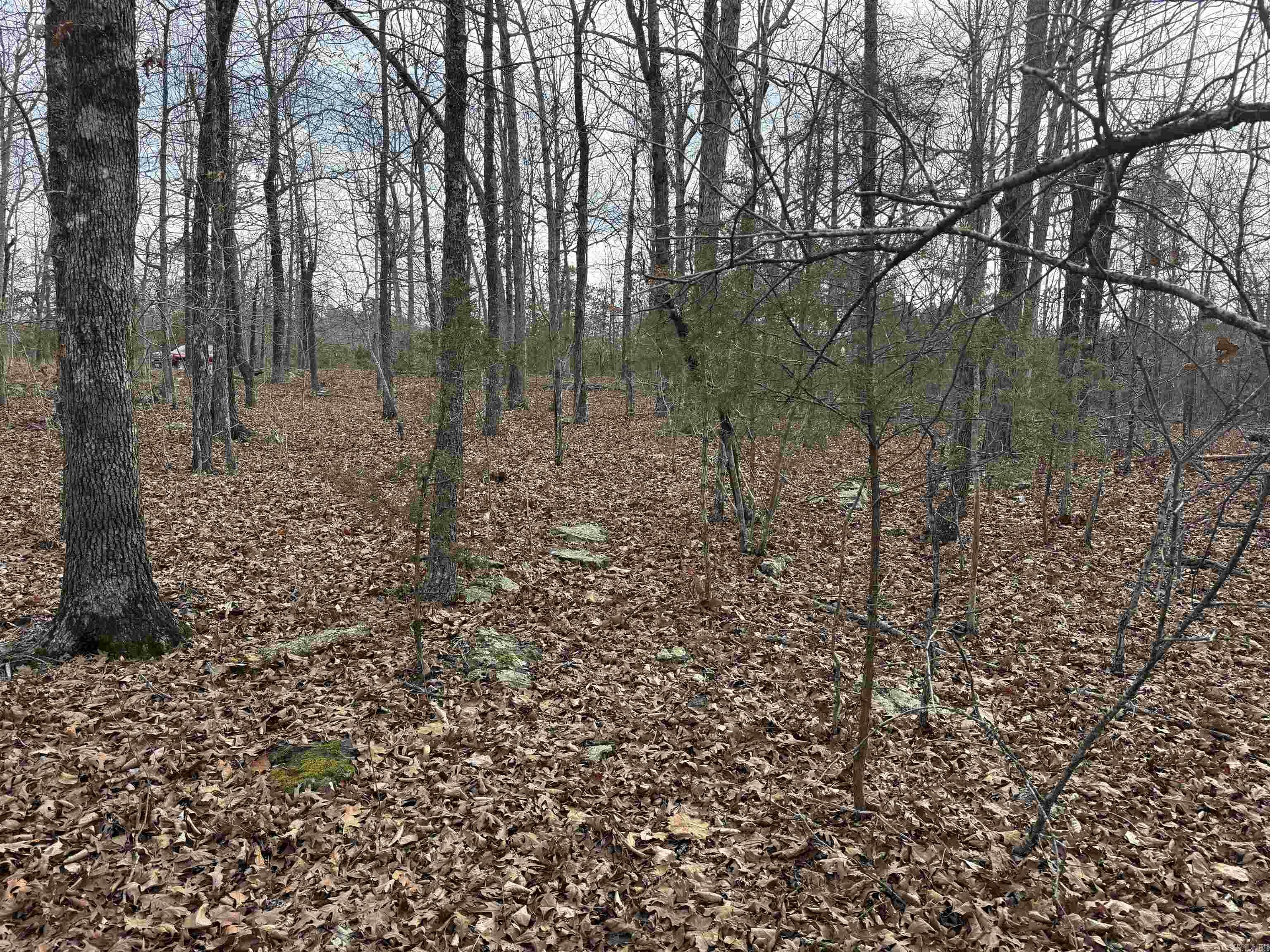 150 Blue Mountain Lane Property Photo 5
