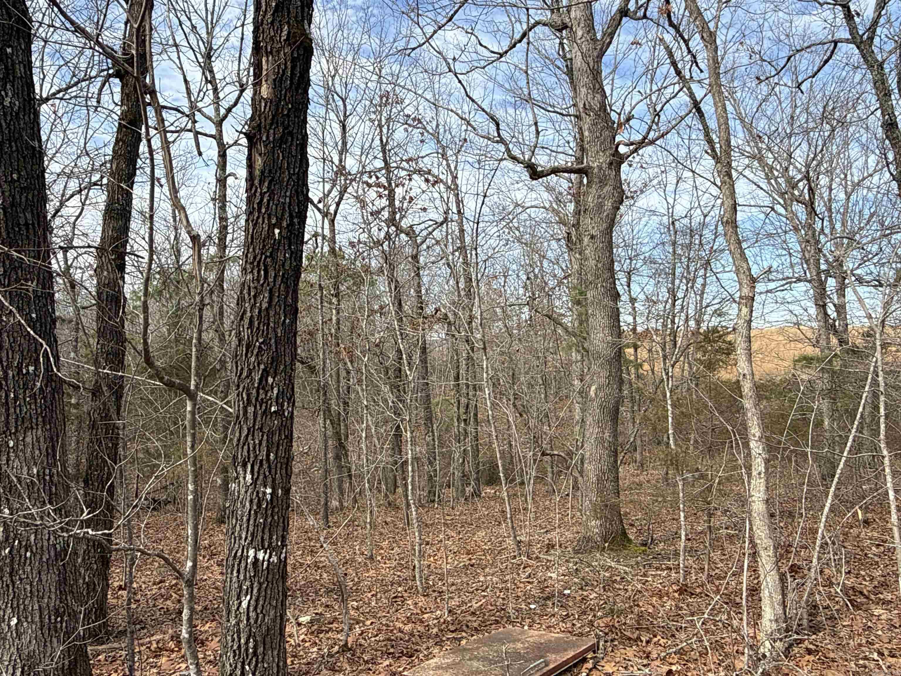 150 Blue Mountain Lane Property Photo 7