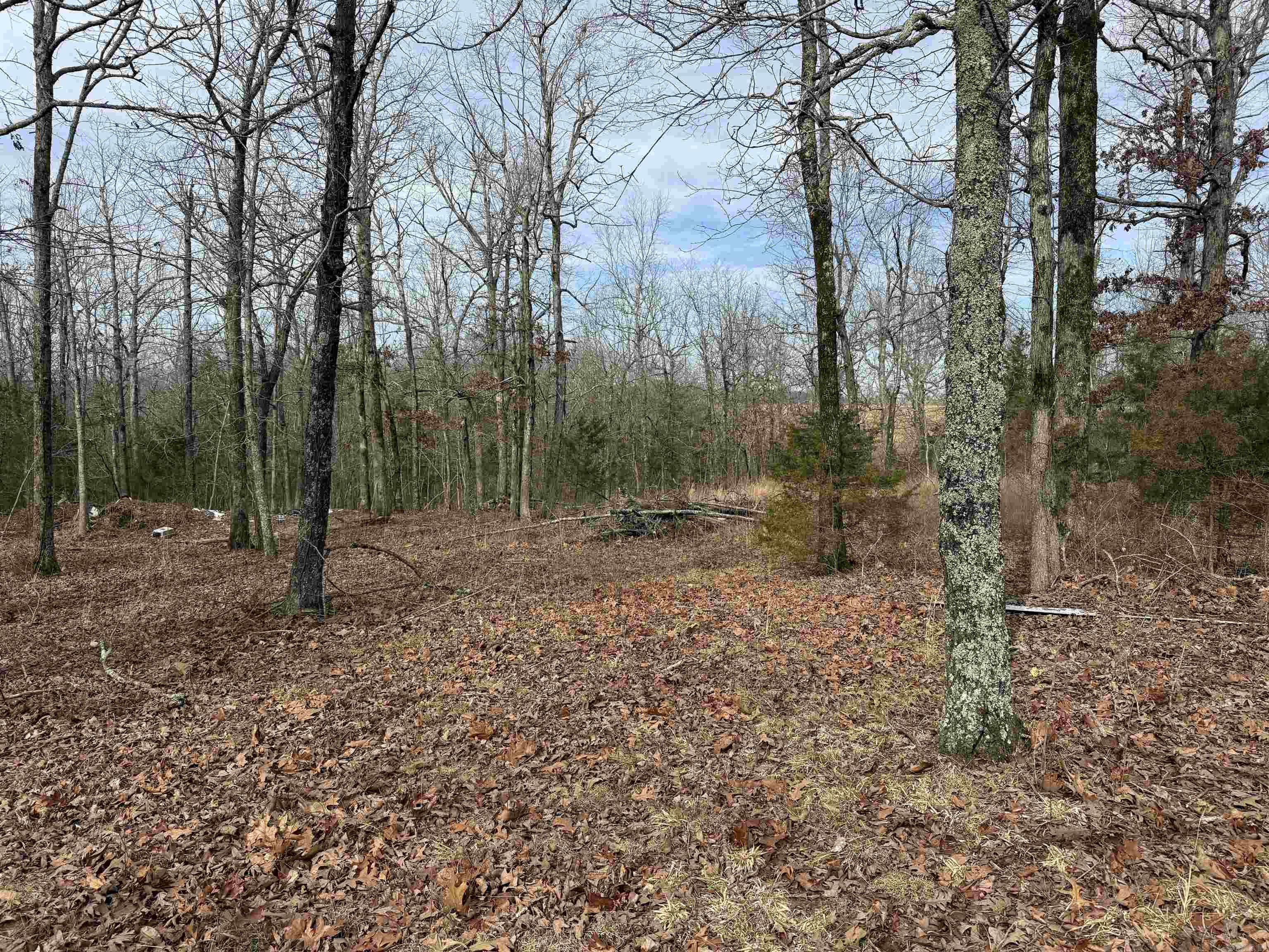 150 Blue Mountain Lane Property Photo 8