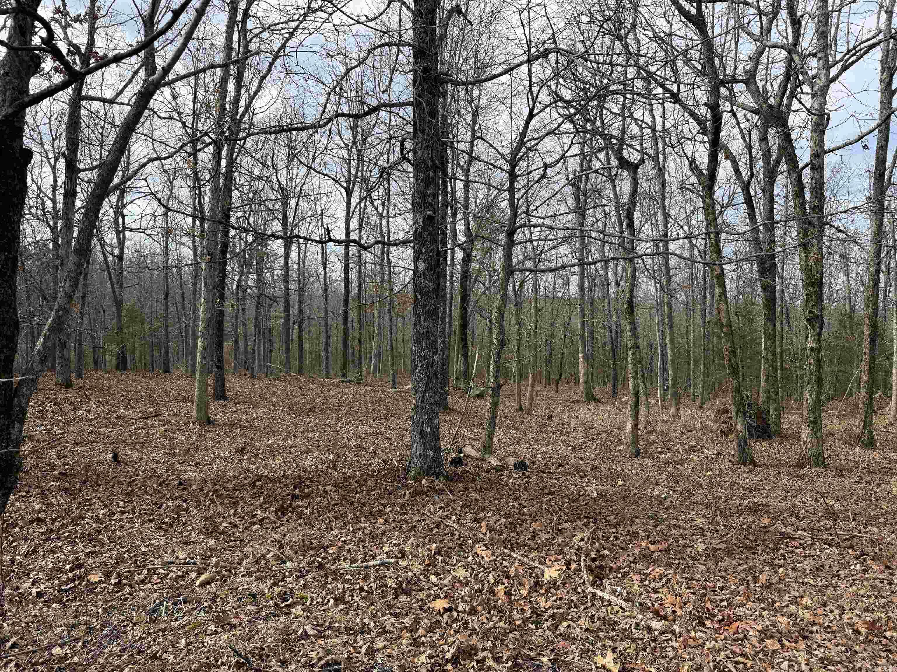 150 Blue Mountain Lane Property Photo 9