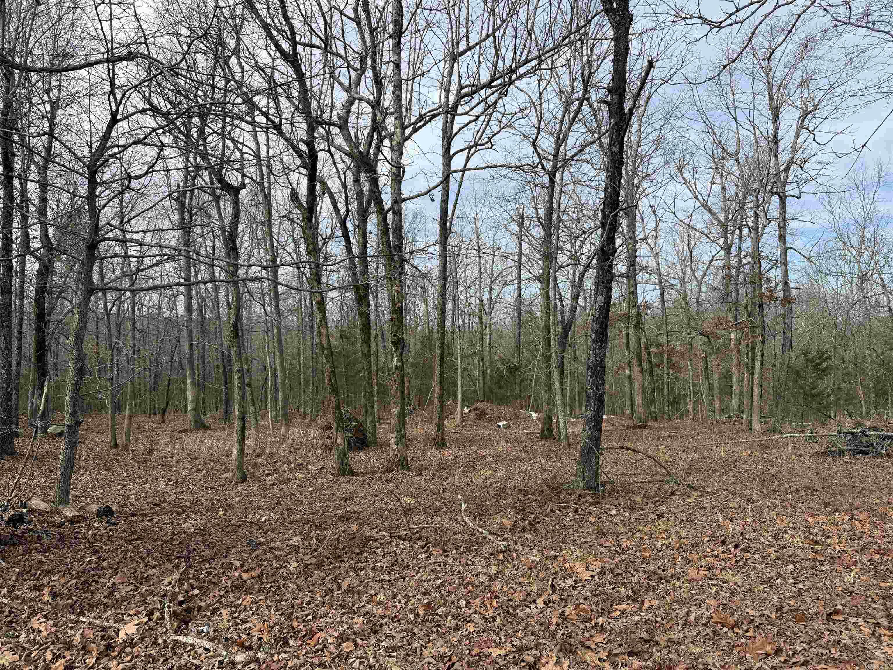 150 Blue Mountain Lane Property Photo 10