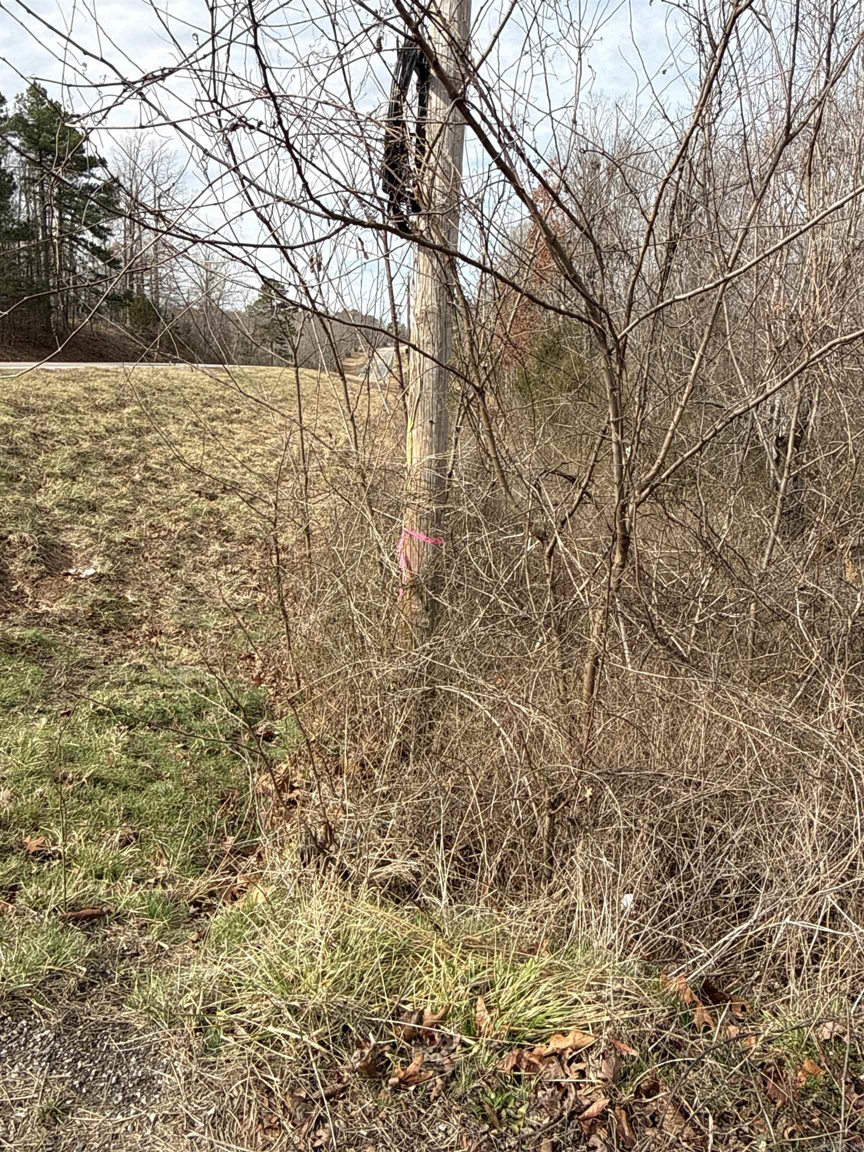 150 Blue Mountain Lane Property Photo 11