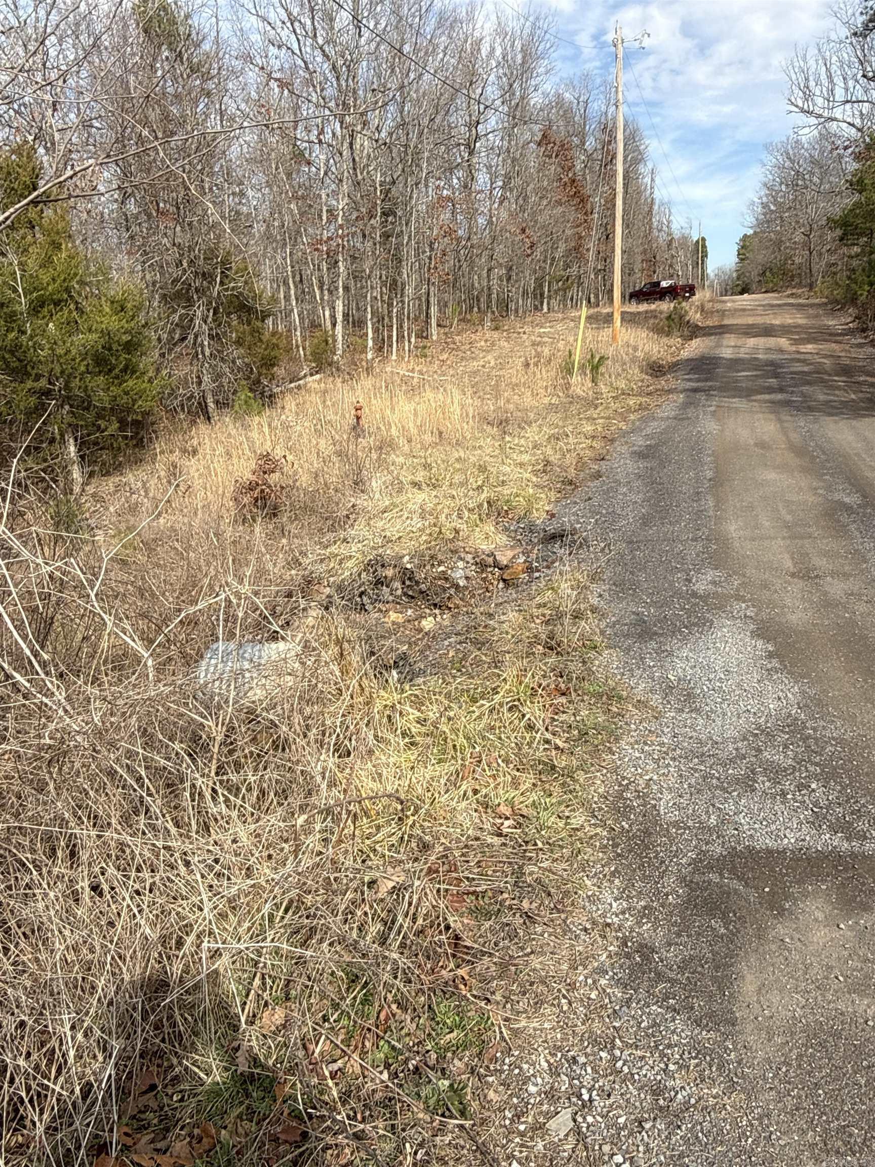 150 Blue Mountain Lane Property Photo 12