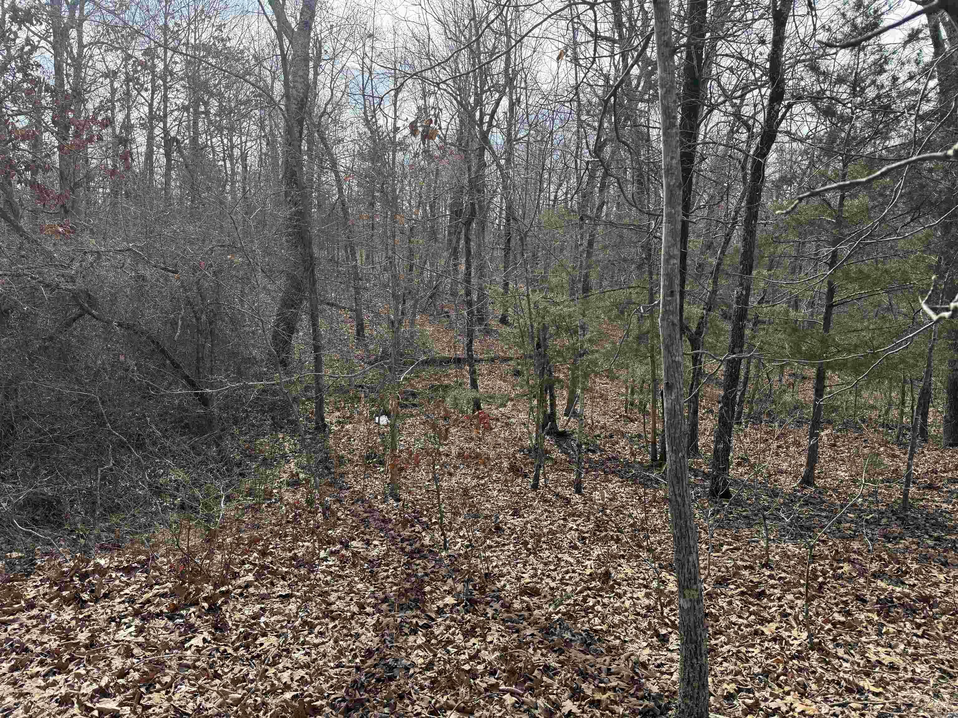 150 Blue Mountain Lane Property Photo 14