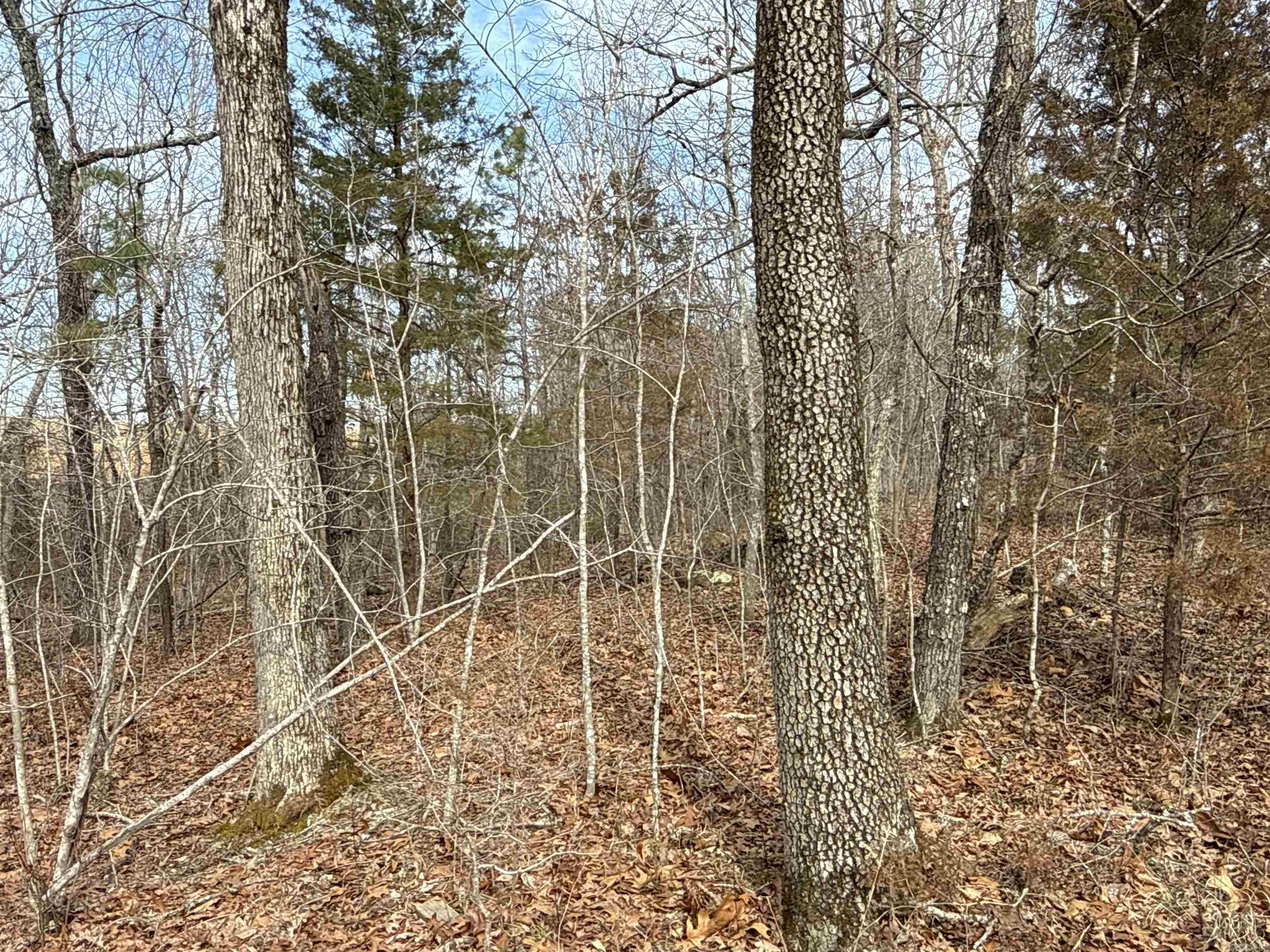 150 Blue Mountain Lane Property Photo 15