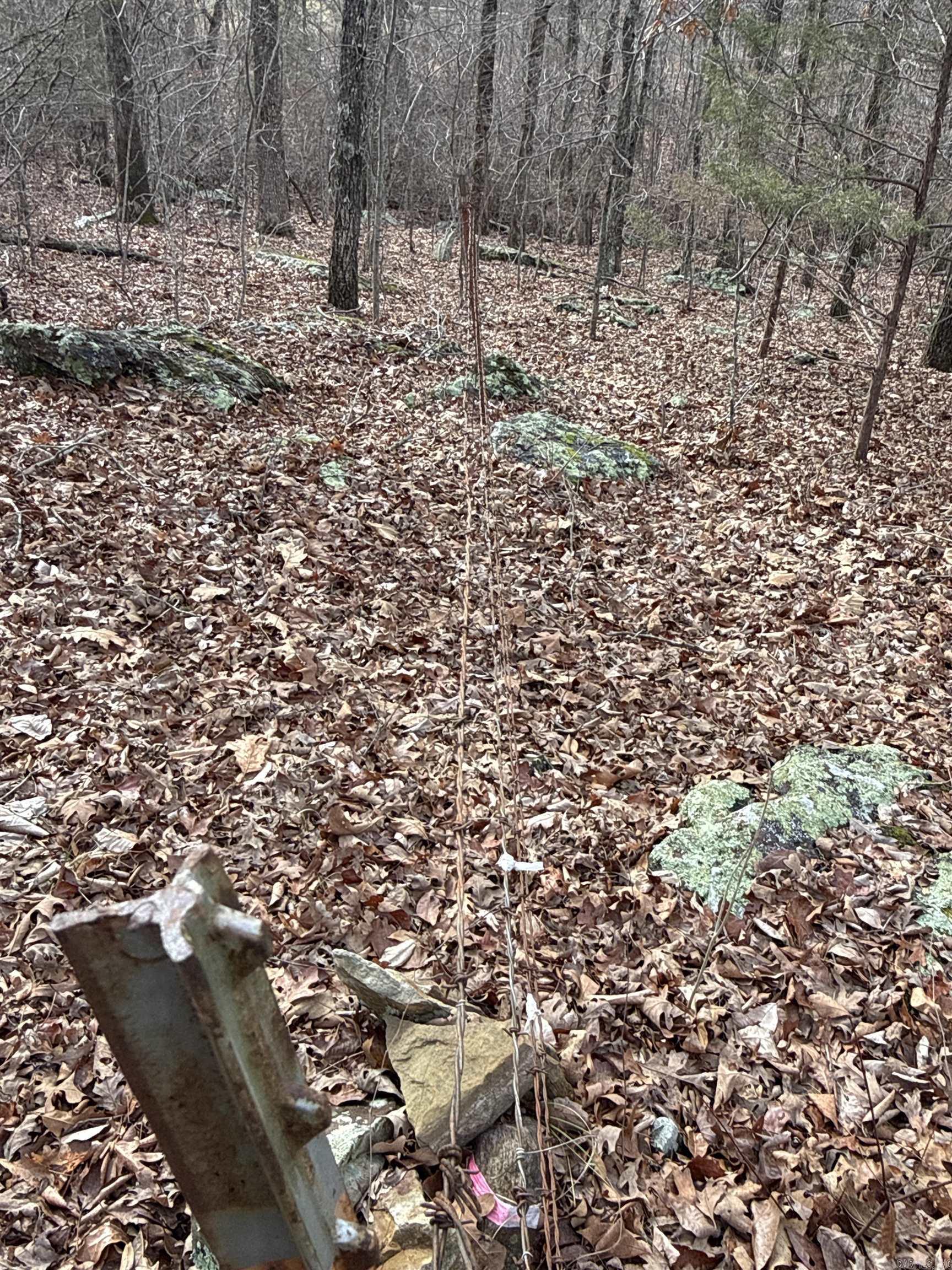 150 Blue Mountain Lane Property Photo 16